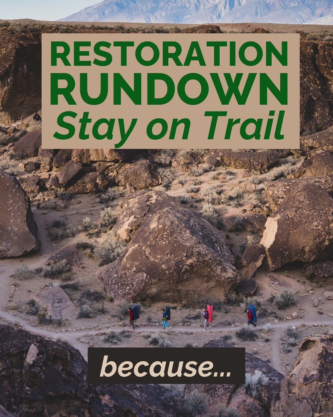 🌱 Restoration Rundown: Stay on Trail🌱
Bishop&rsquo;s desert ecosystem is more fragile than it looks, and staying on designated trails and out of restoration areas is key to preserving it. 

Here&rsquo;s why:

🌵 Desert Plants Grow Slowly
Desert pla
