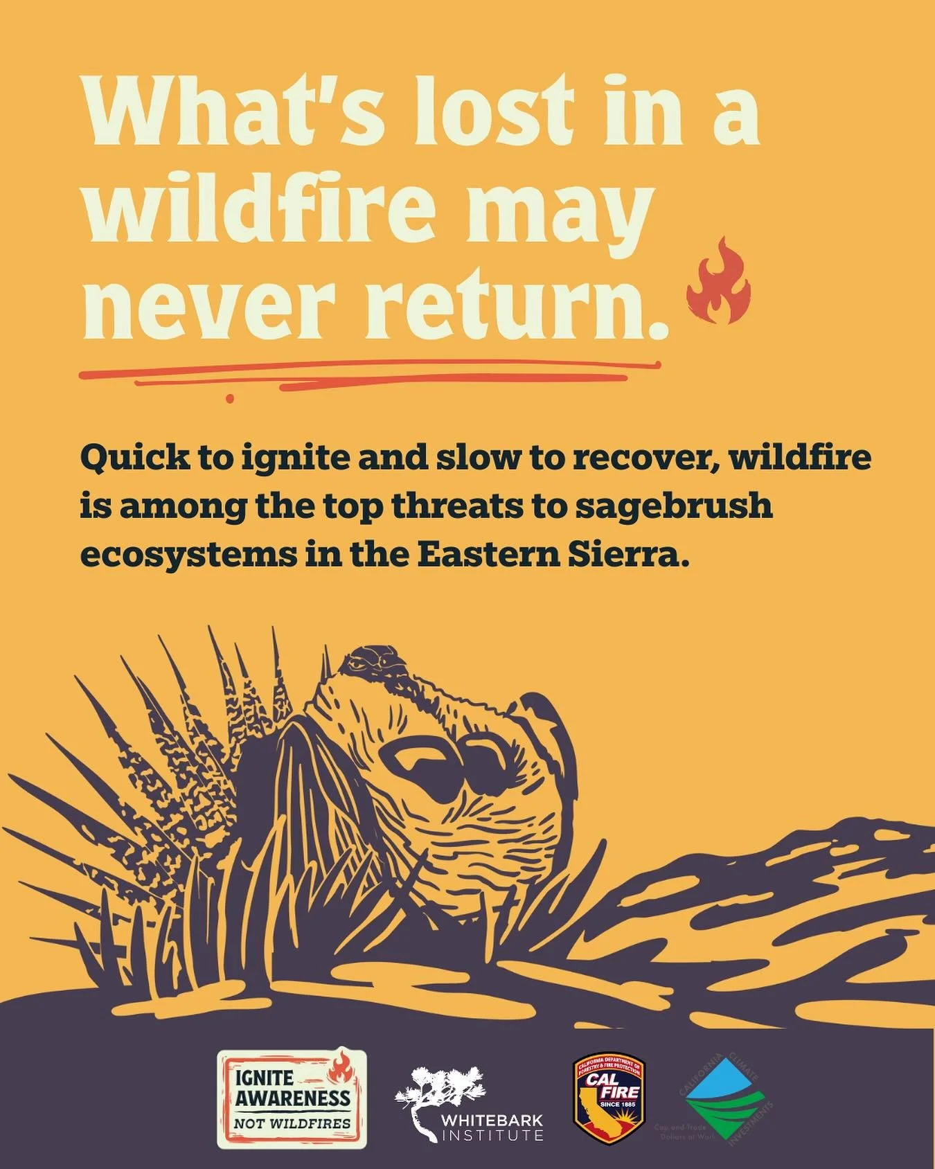 Wildfires threaten more than homes &mdash; they put entire ecosystems at risk.

In the Eastern Sierra, sagebrush and forested landscapes support wildlife like the Bi-State Sage Grouse and mule deer. But high-severity wildfires can wipe out these habi