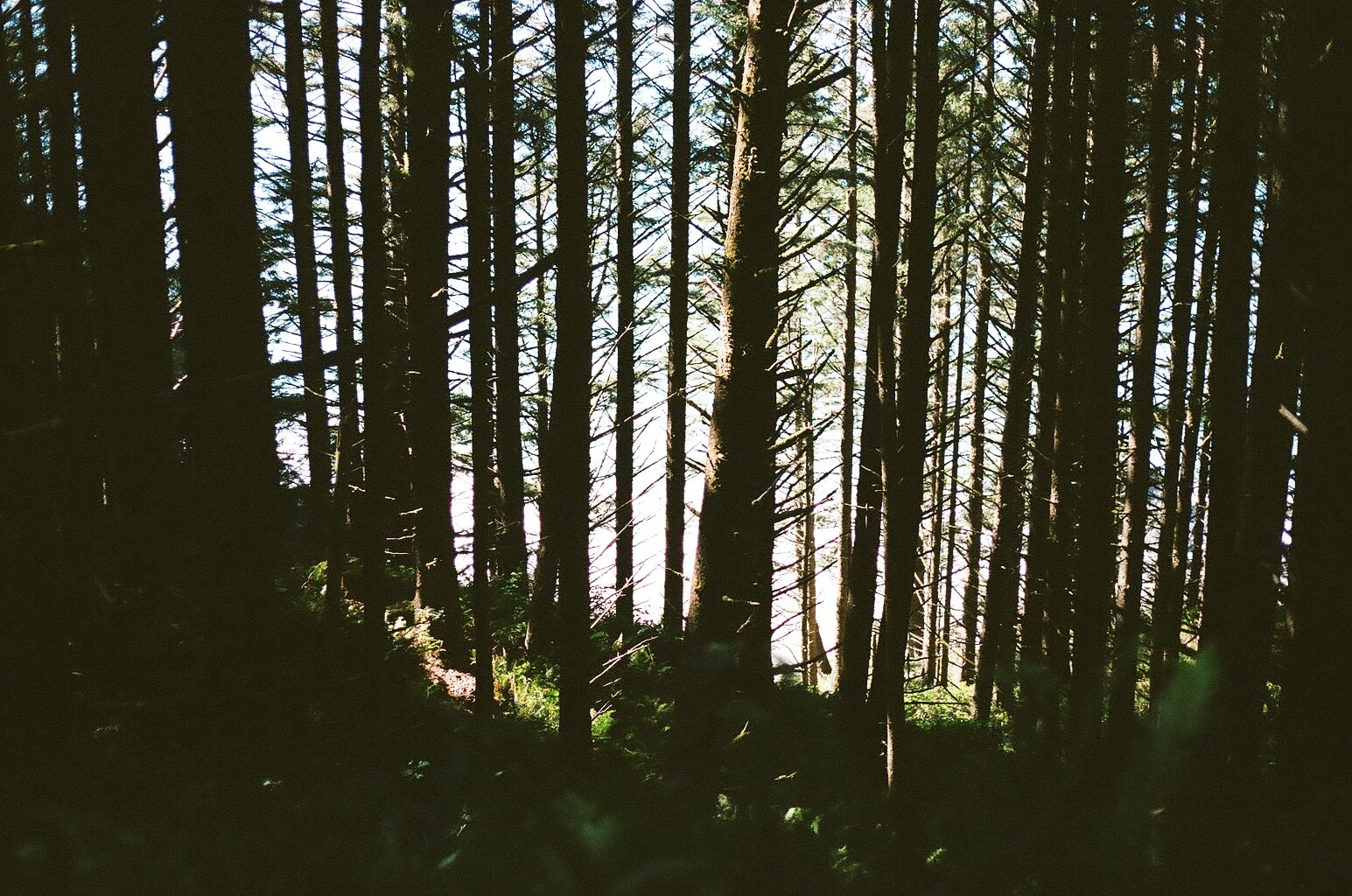 000167500010.JPG