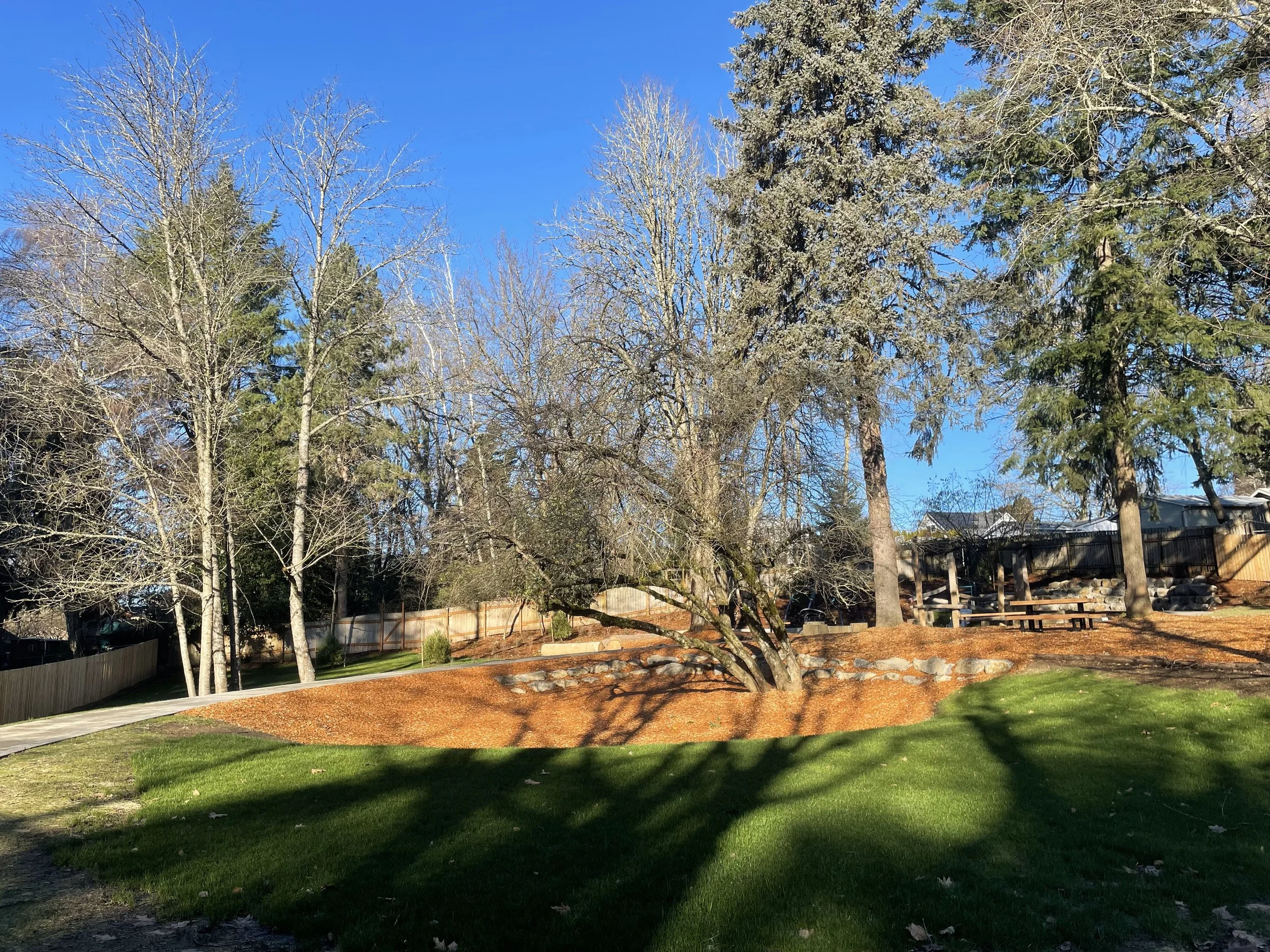 Balfour Park 1.6 (2).jpg