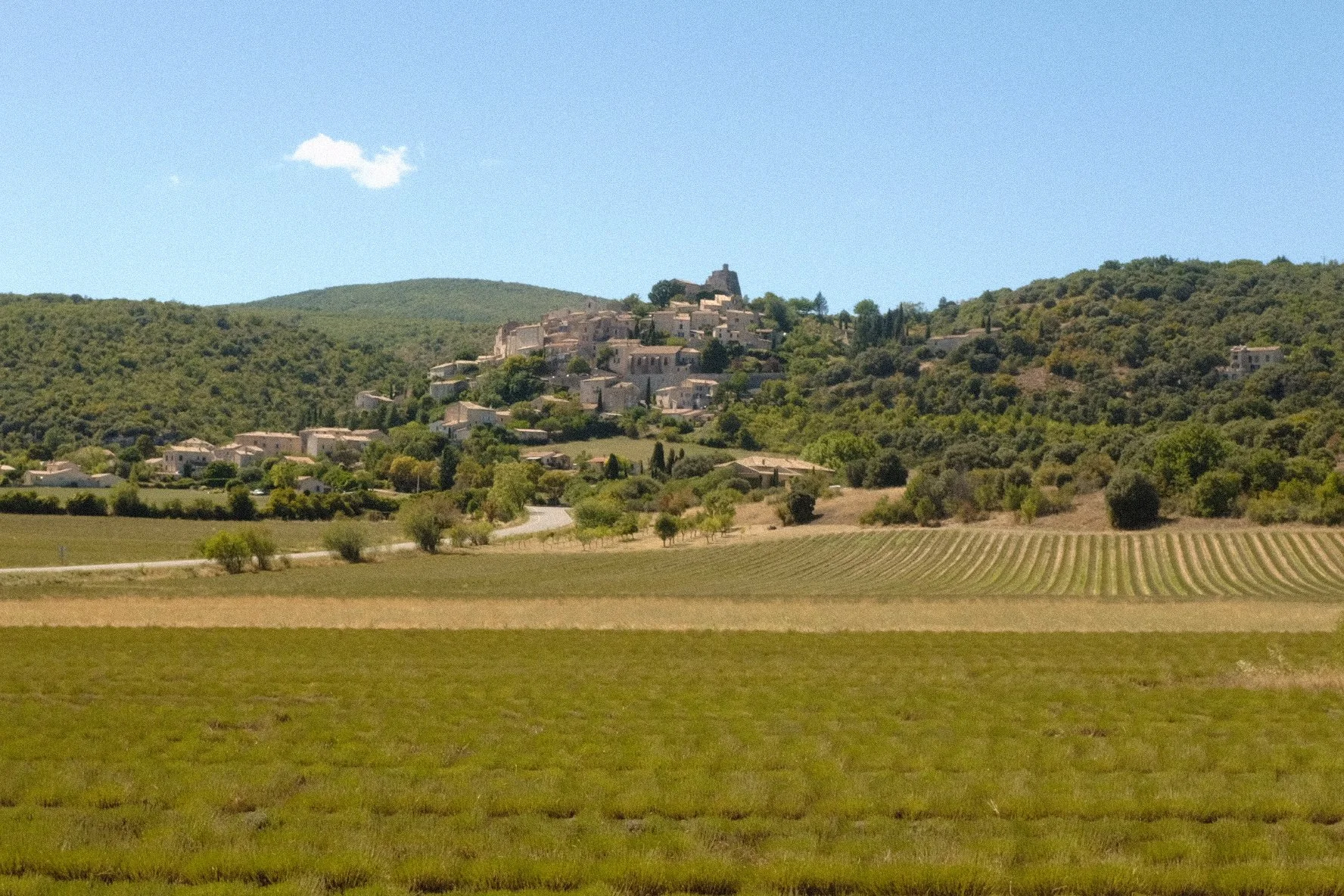 Simiane-la-Rotonde (copie) (copie)