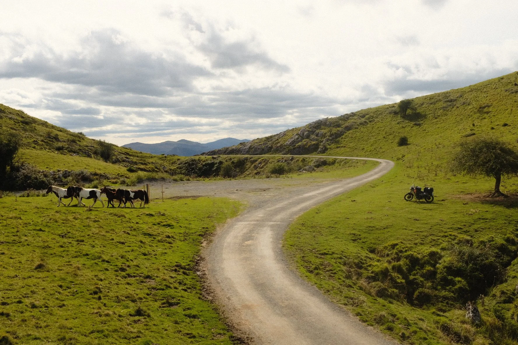 Pays basque (copie) (copie)