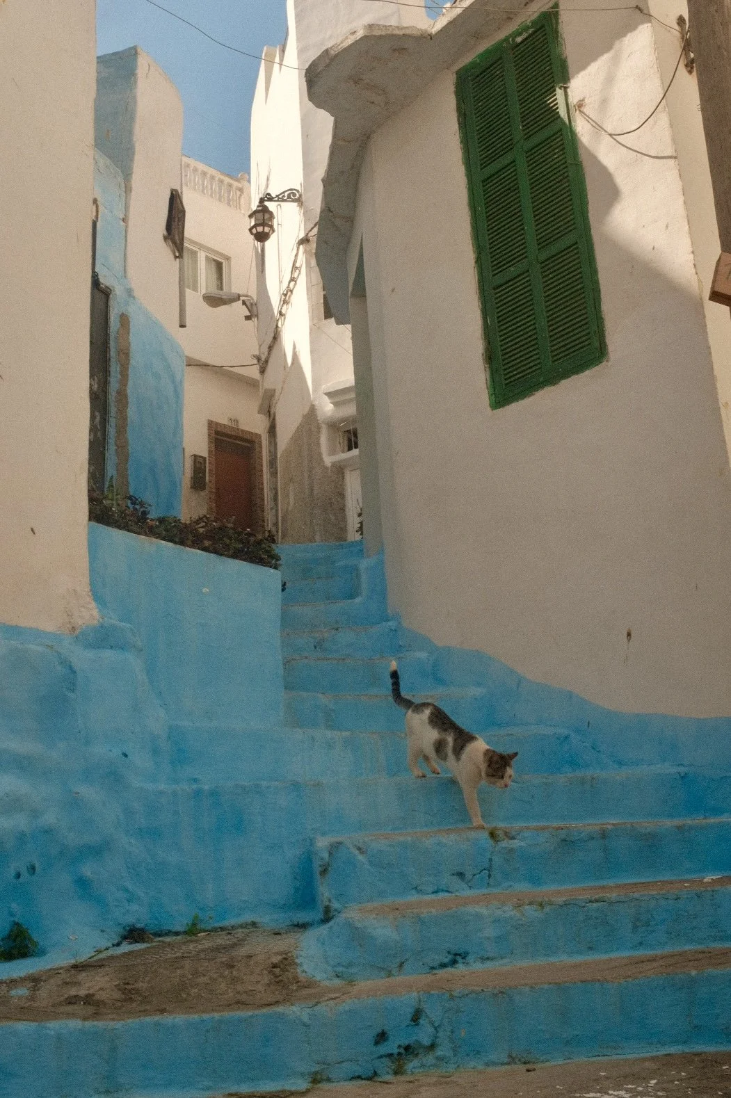 Tanger