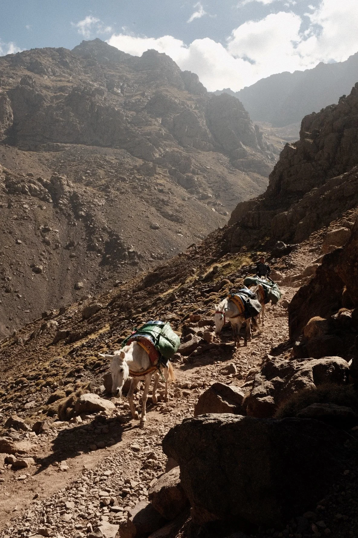 Toubkal