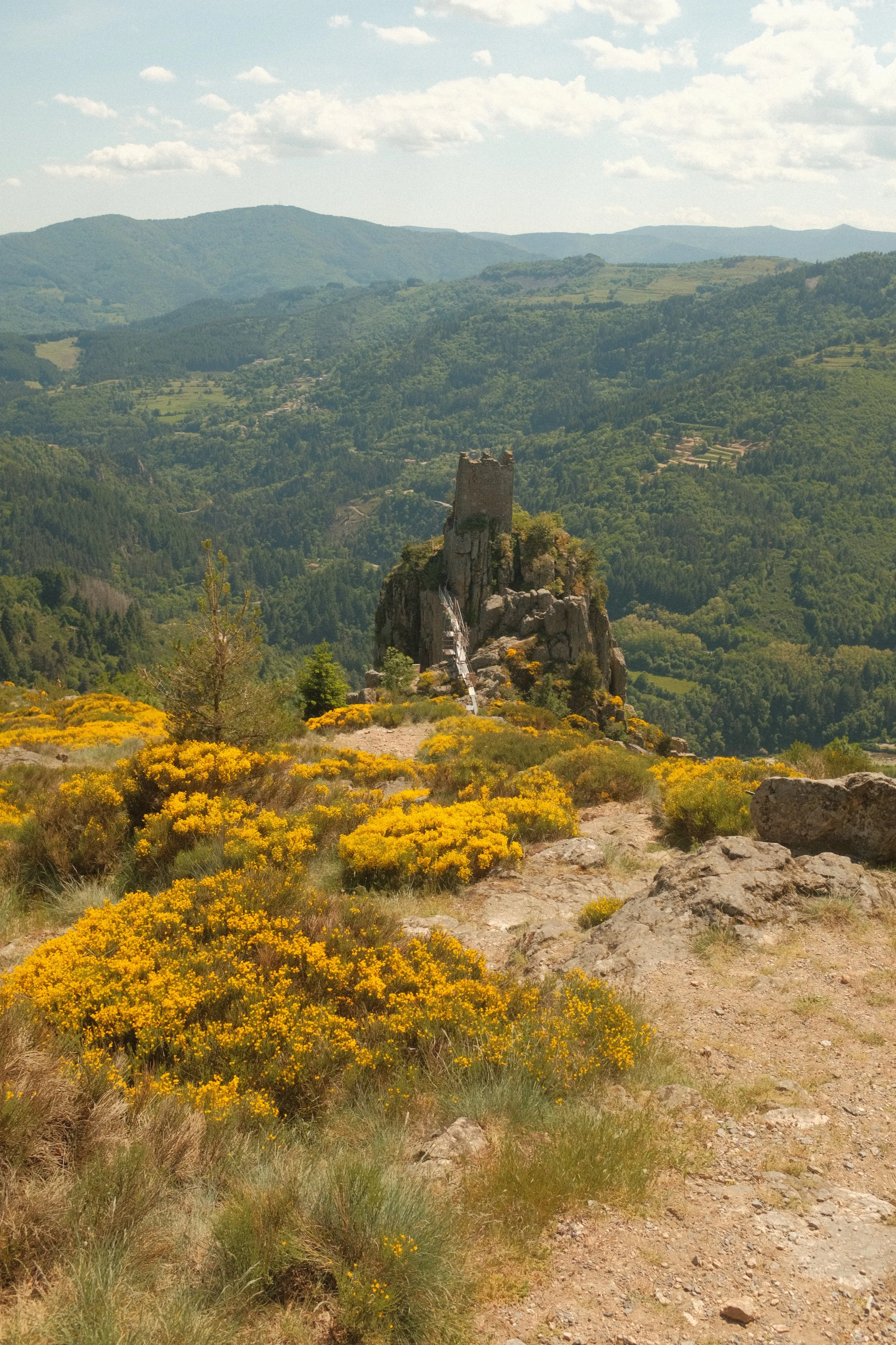 voie-royal-14.JPG