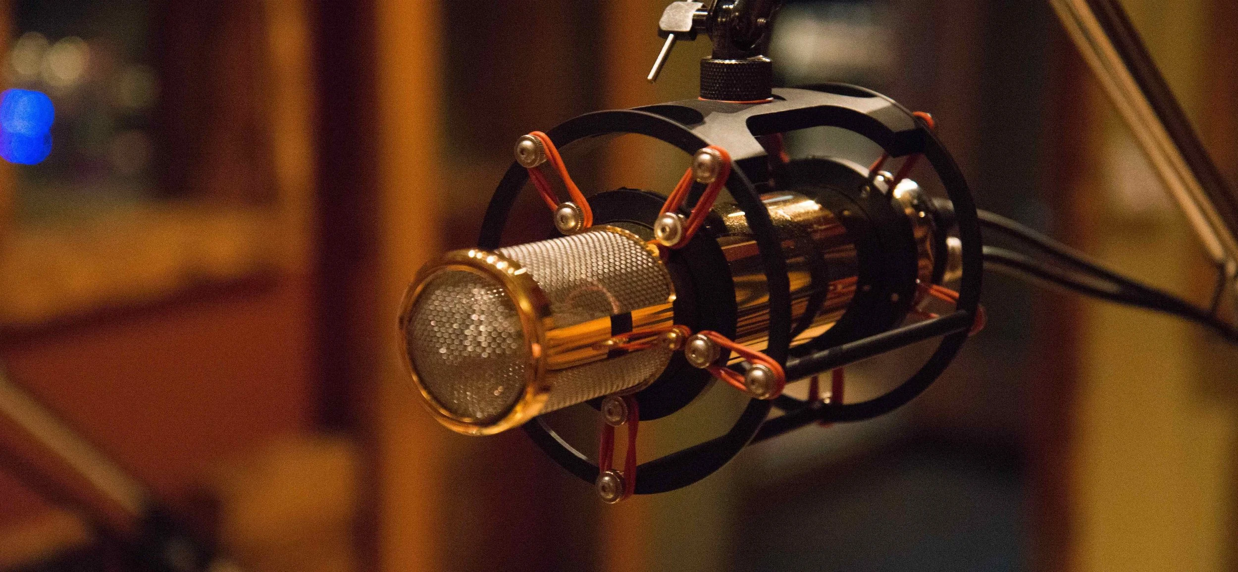 Synergy Productions Manley Reference Gold microphone