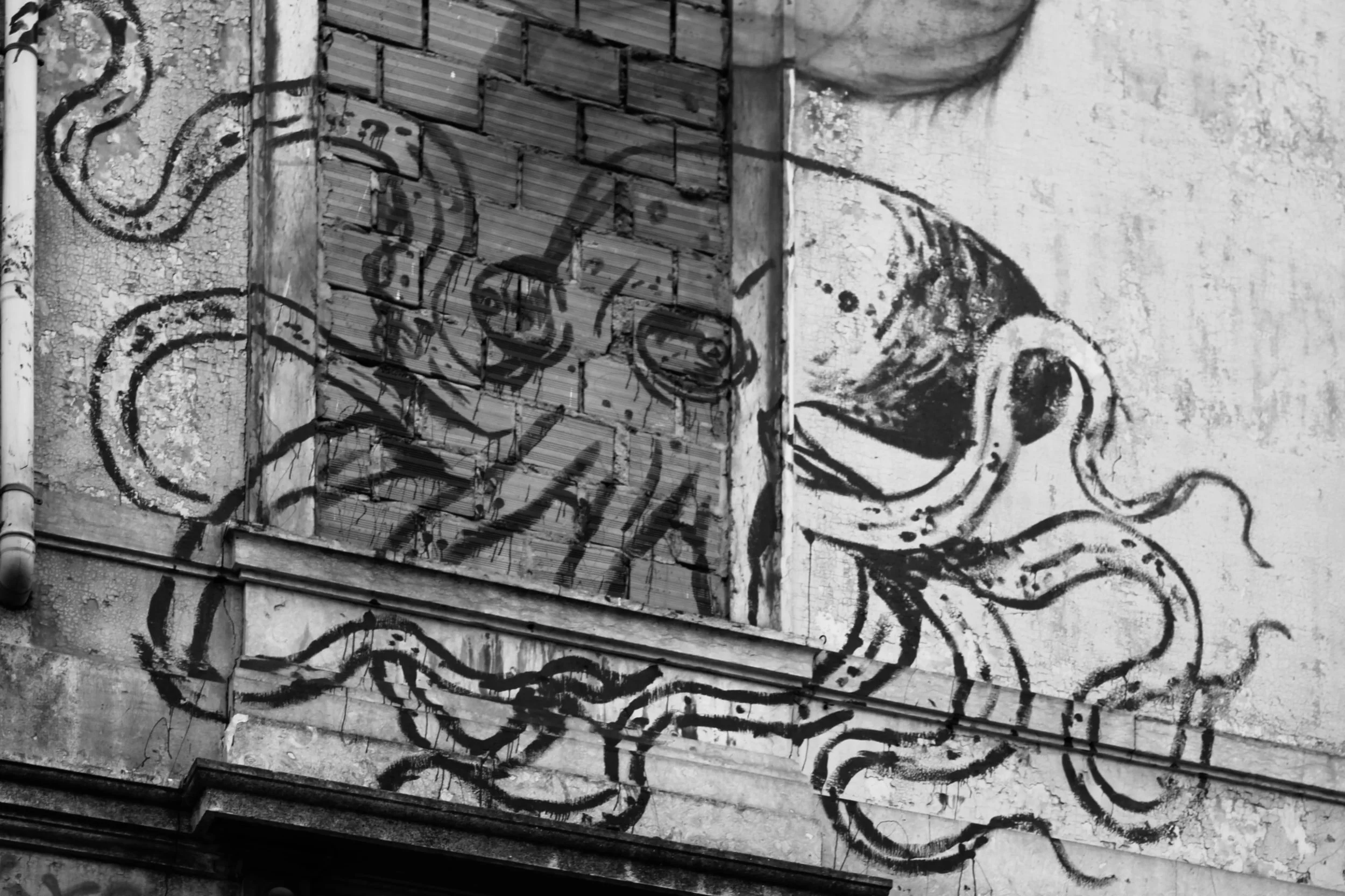 Votre part de pieuvre