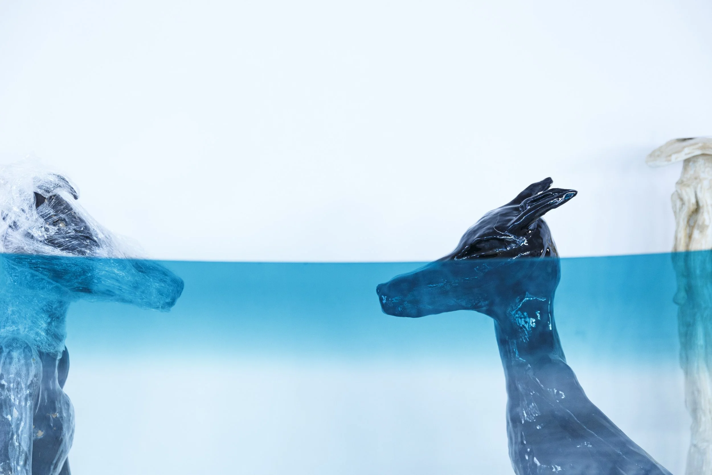 01_Ruby_MG_7057 kopi.jpg