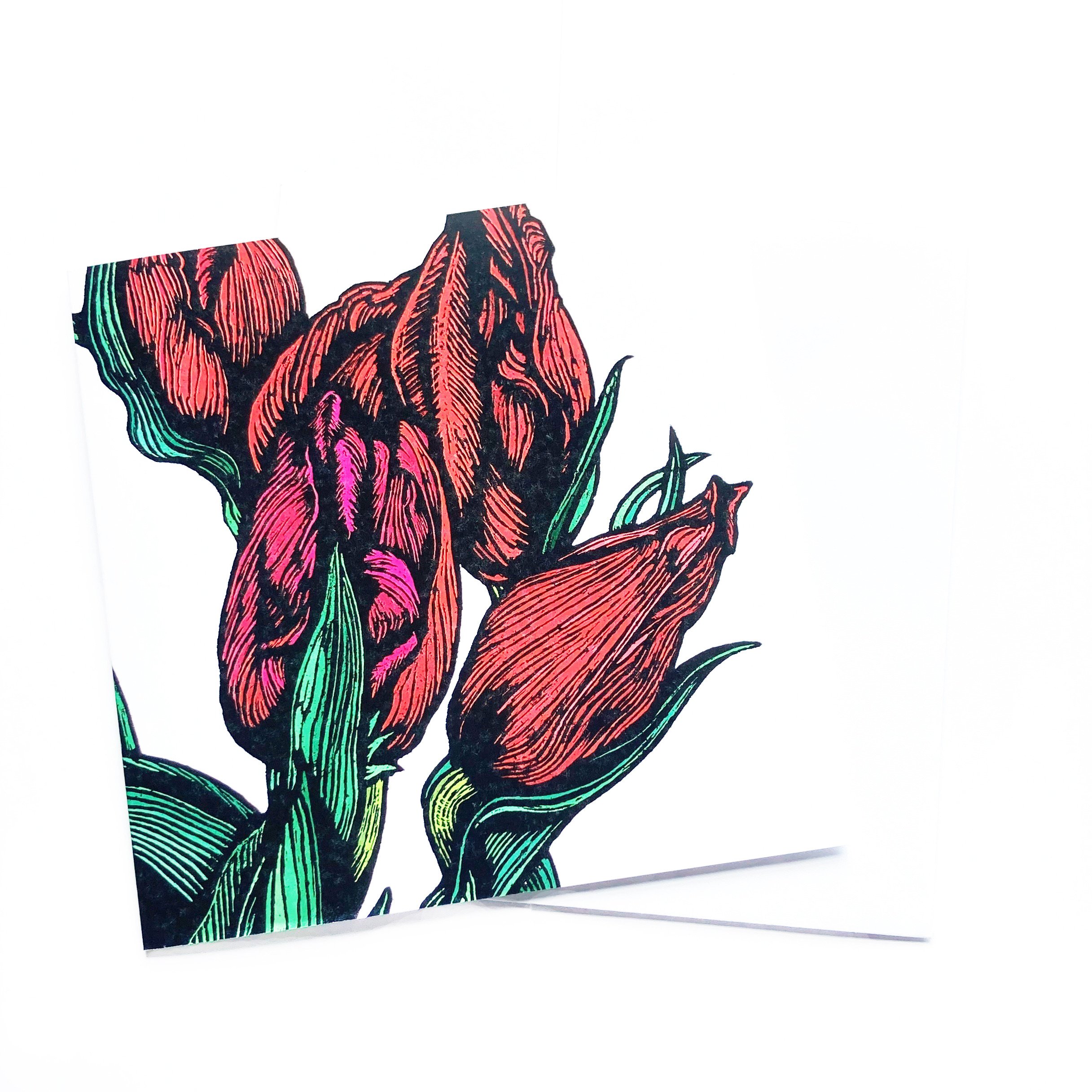 Red Tulip Greetings Card That Girl In Green