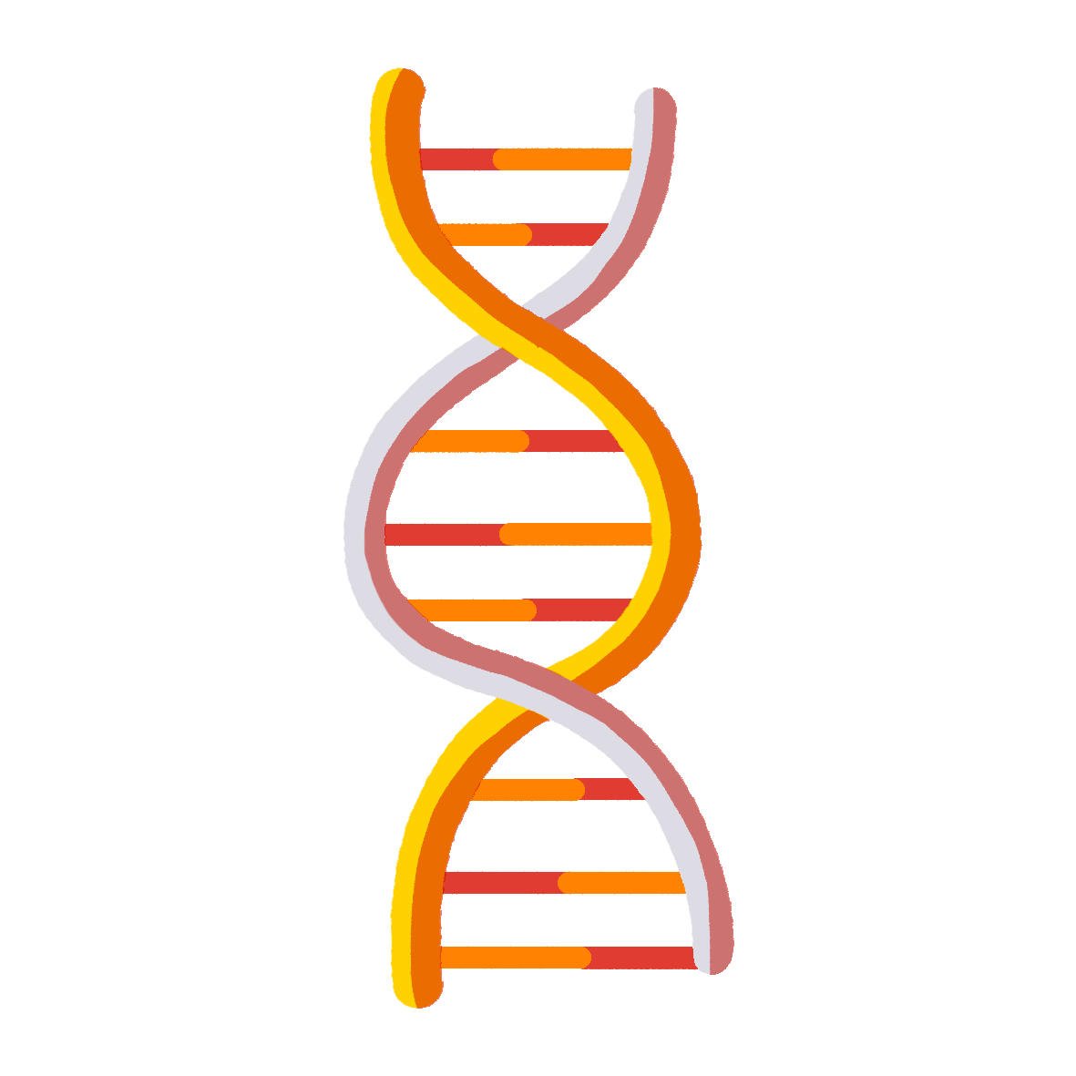 bio-tech-boma-france.png