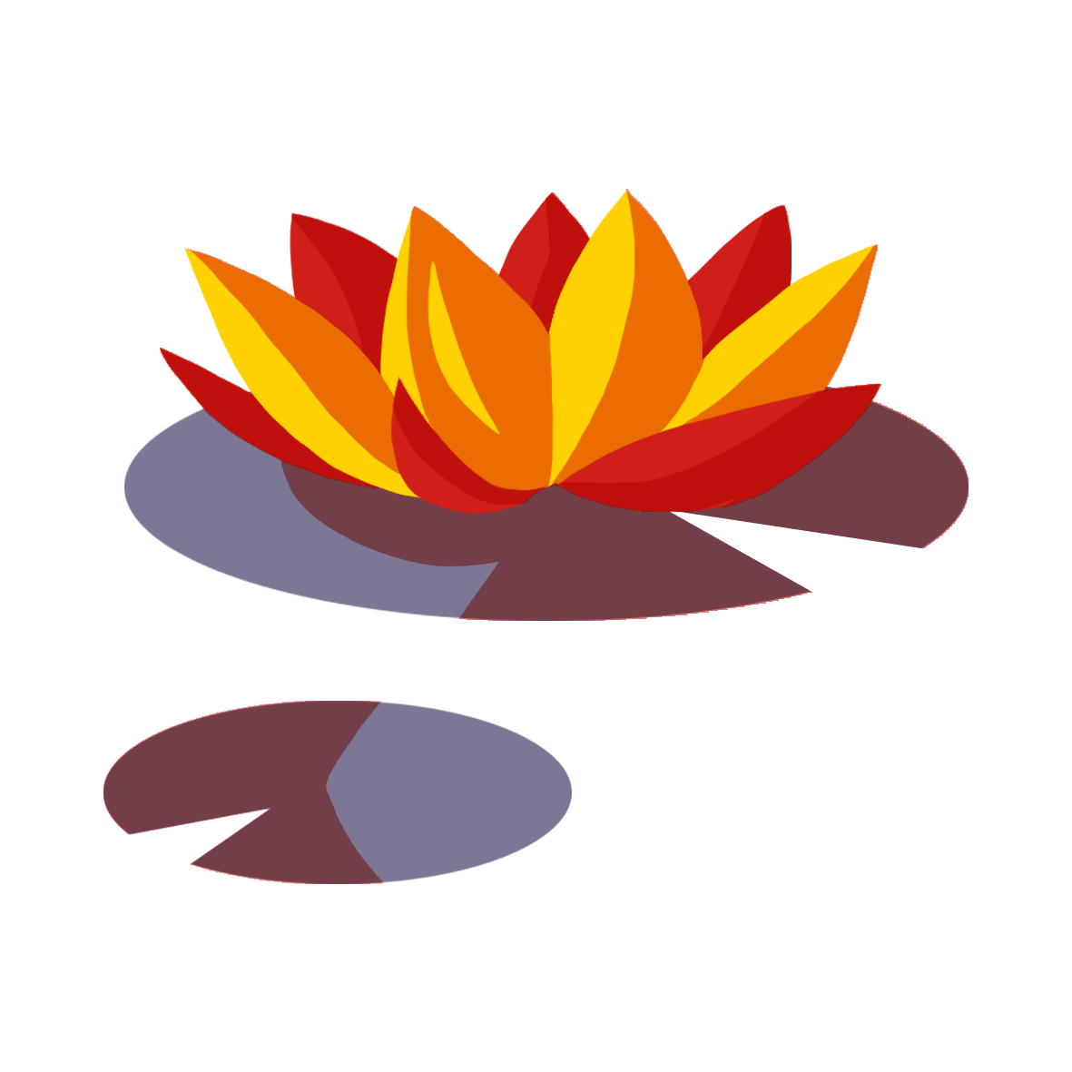 sante-bien-etre-boma-france.png