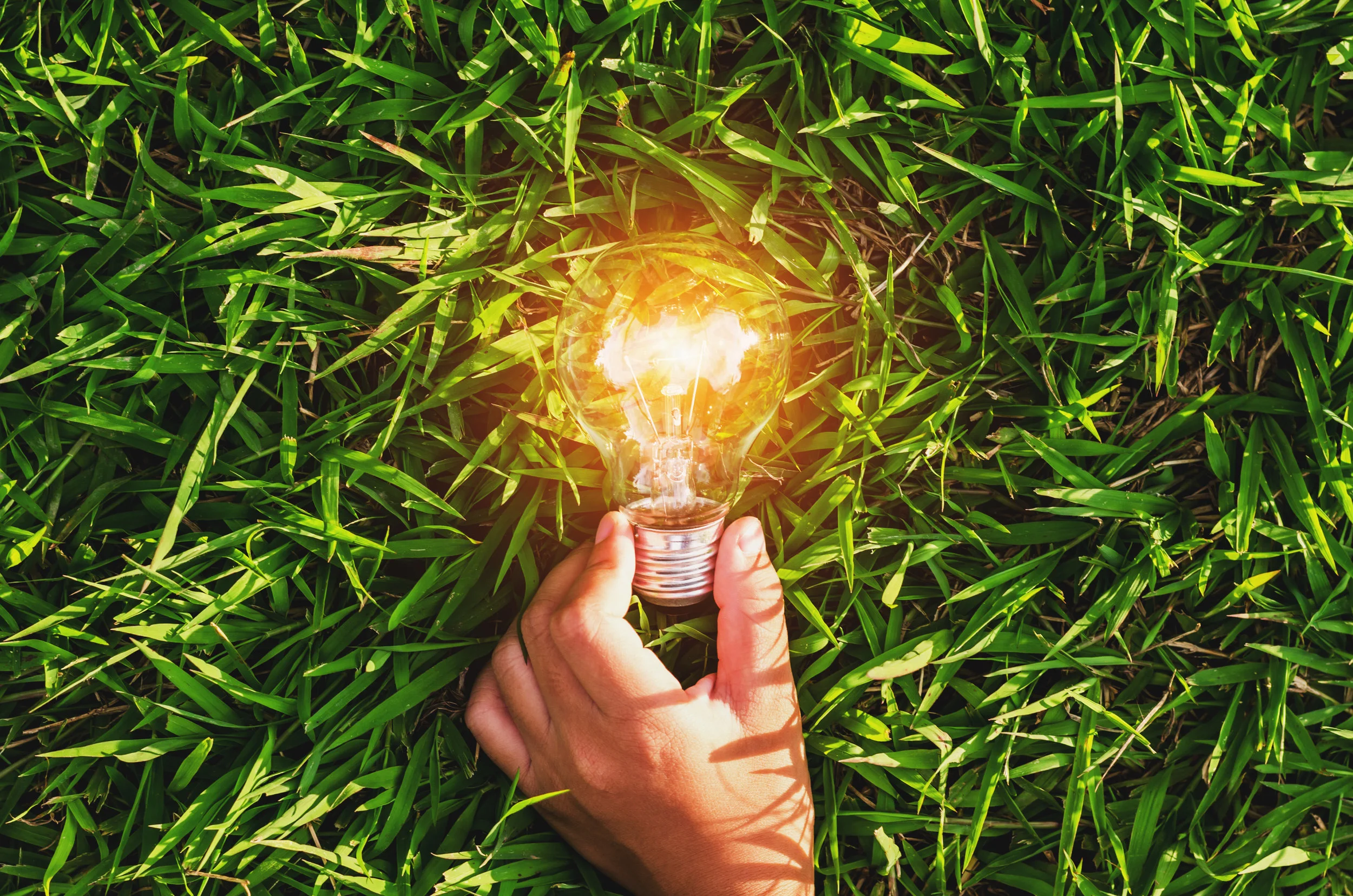 Image ID686372170 shutterstock_686372170.jpg