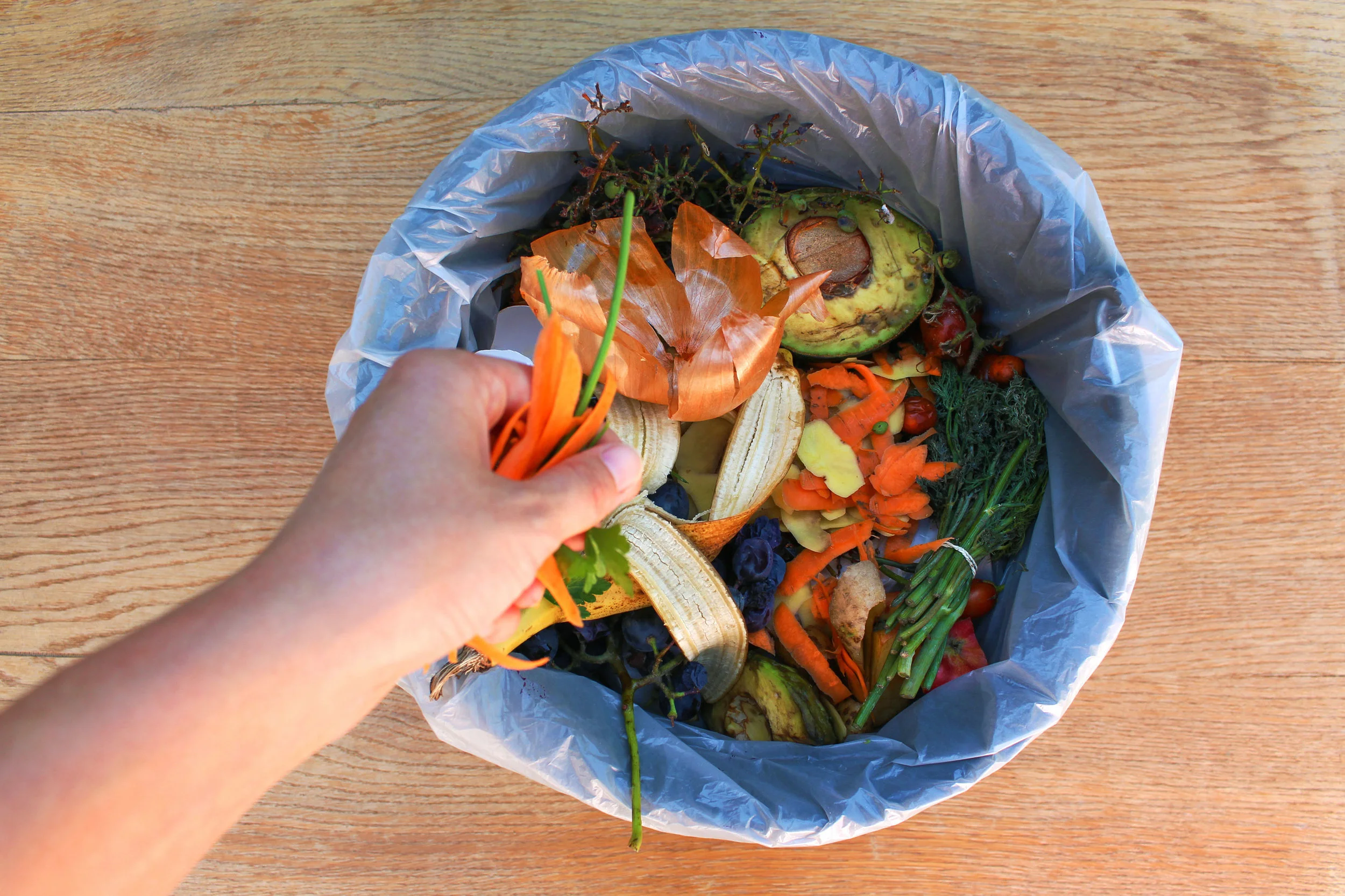 One Food Waste.jpg