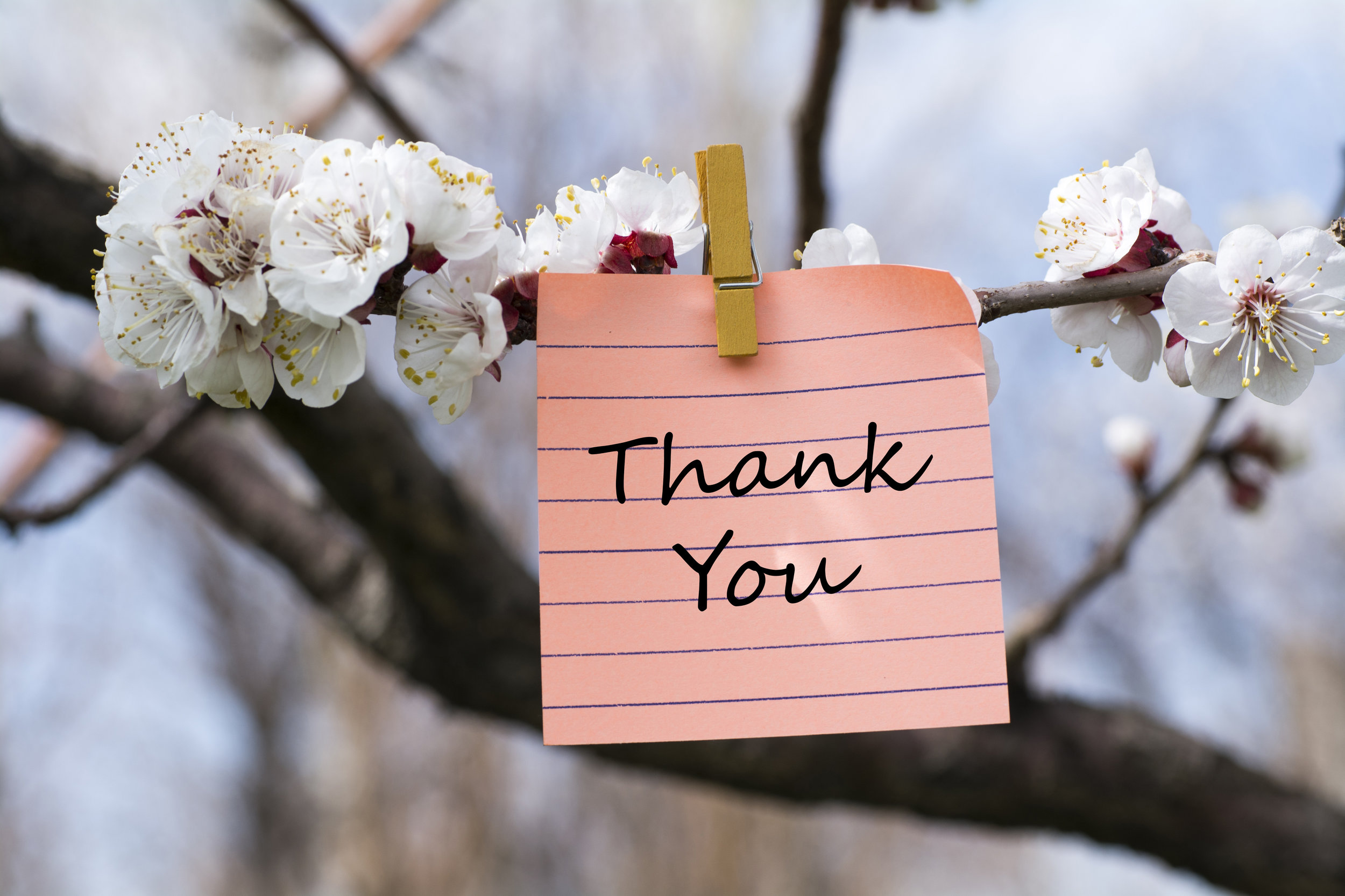 THANK YOU! 