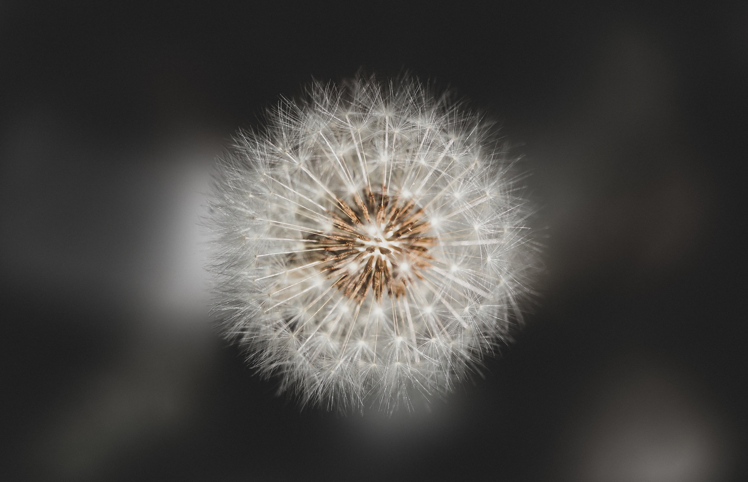 5 Ways to Feel Less Anxious