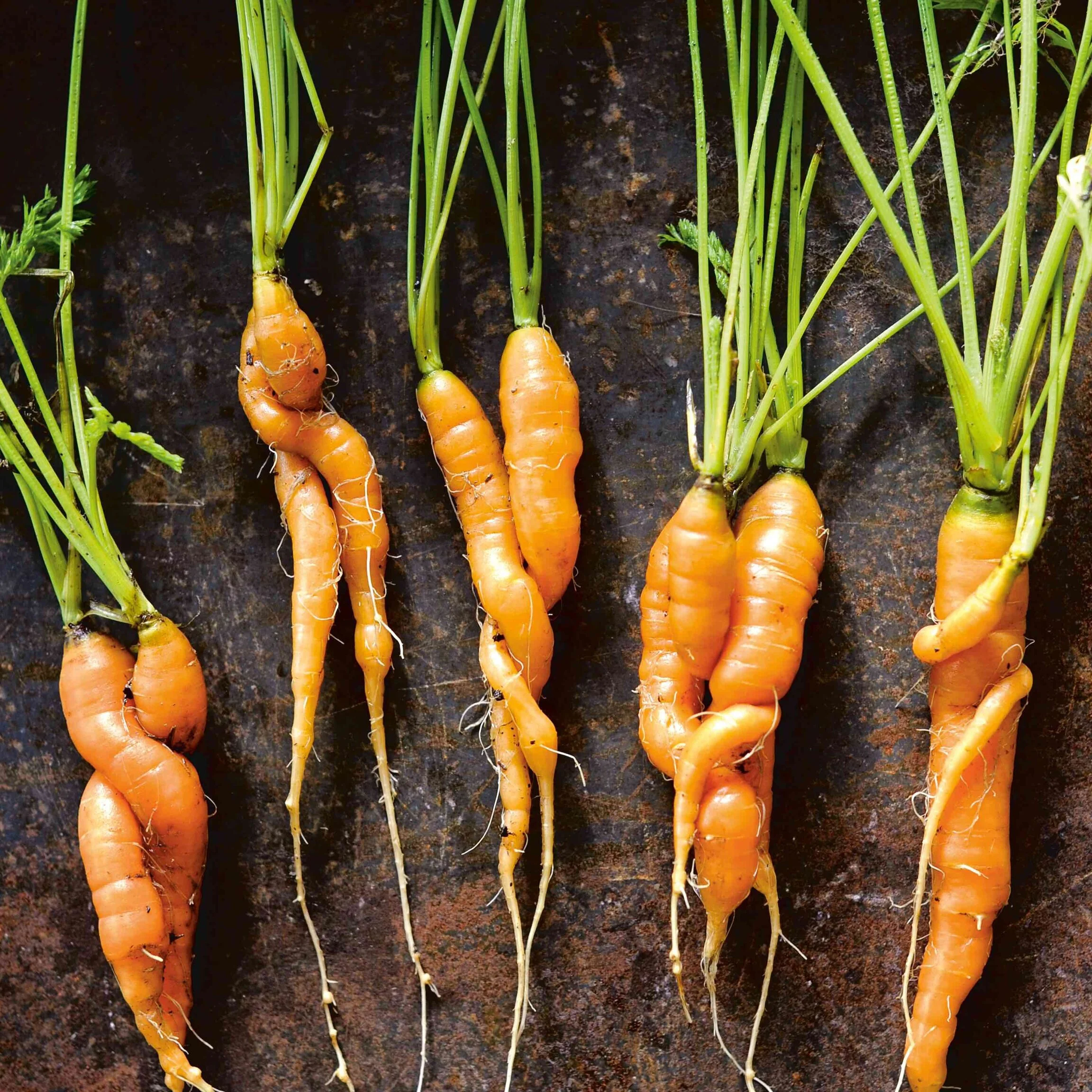 Heirloom Vegetables 
