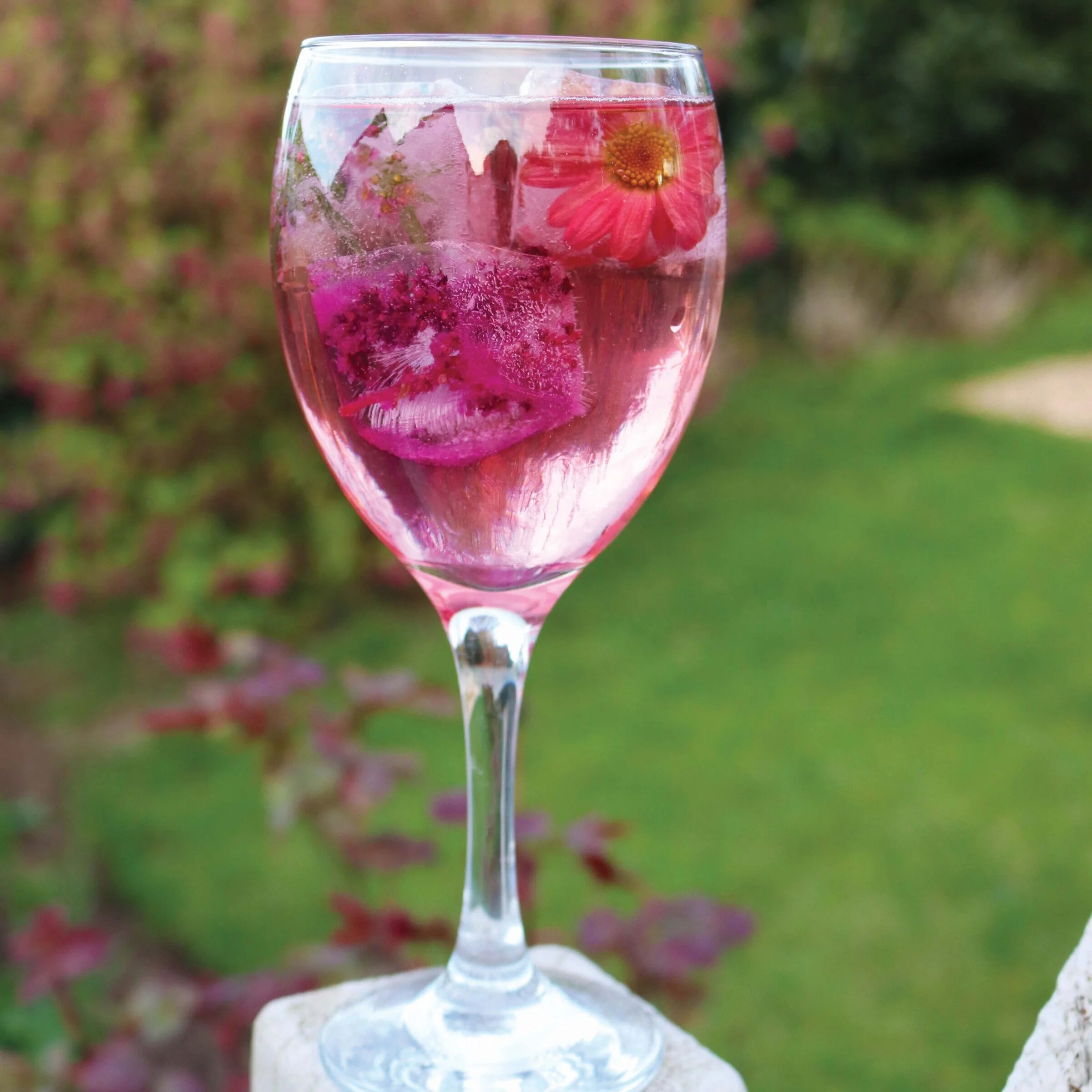 Floral Ice Cubes