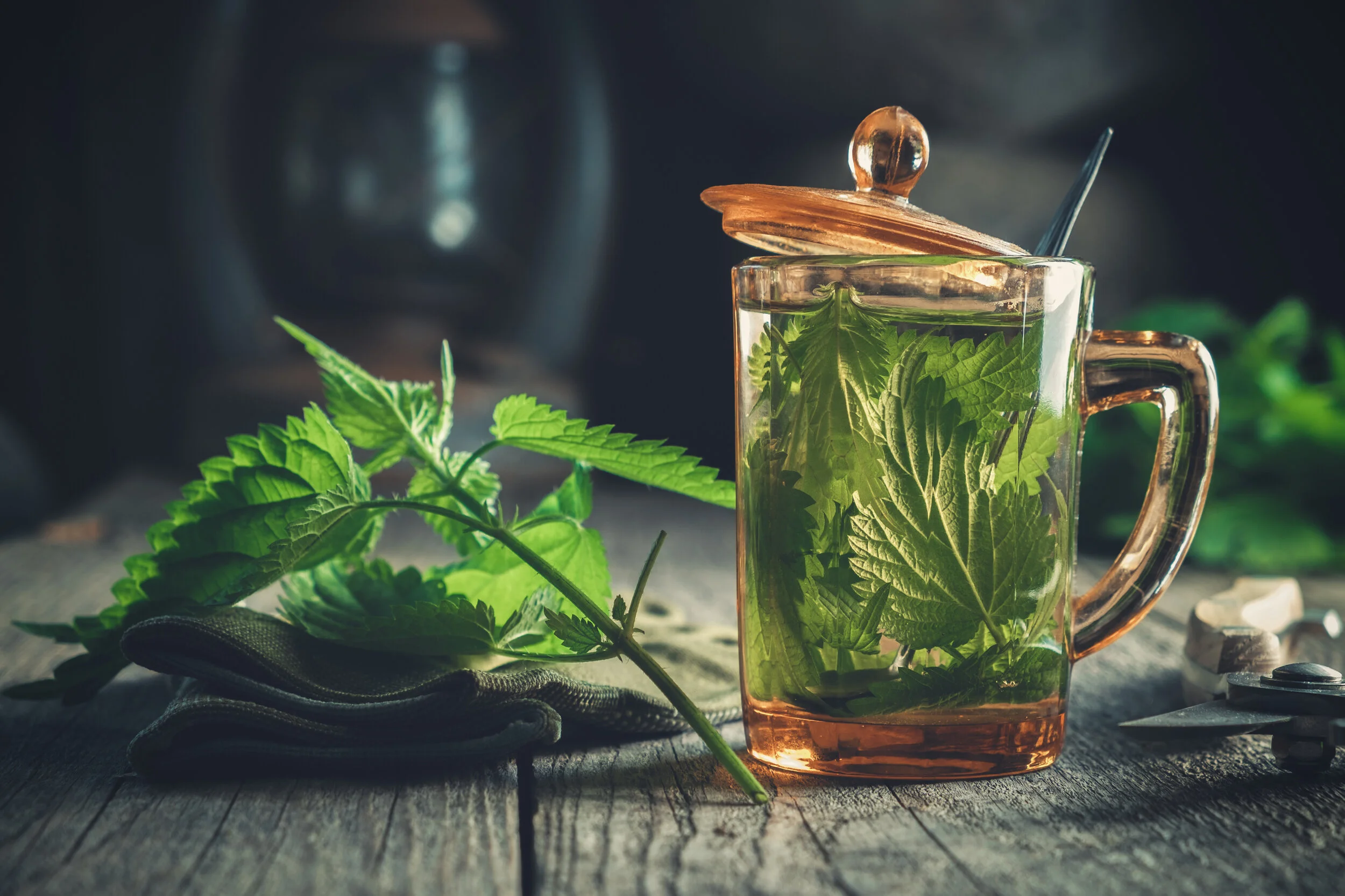 Edible Weeds 