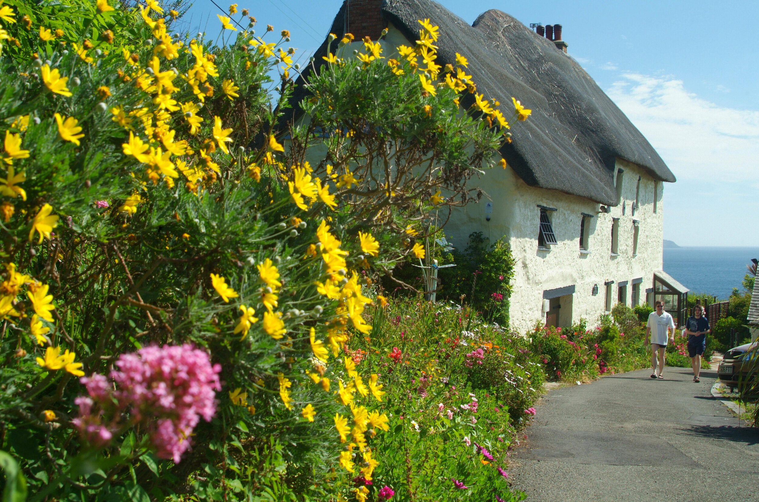 Seaside Garden 