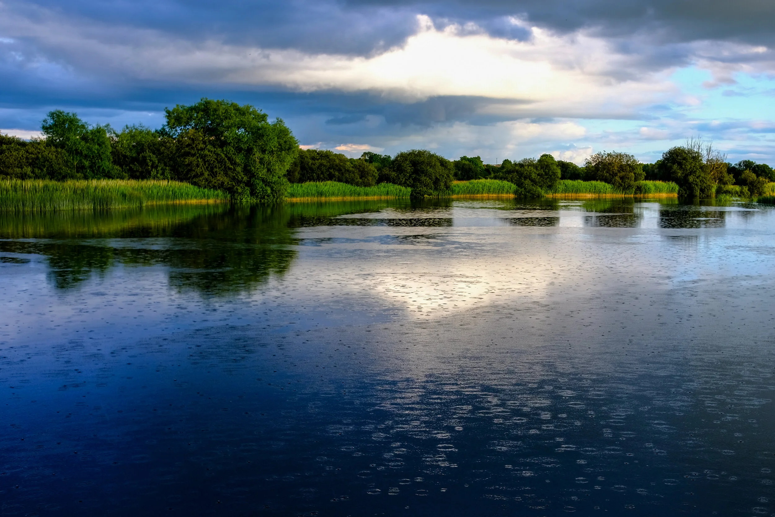 Cruising on the Shannon 
