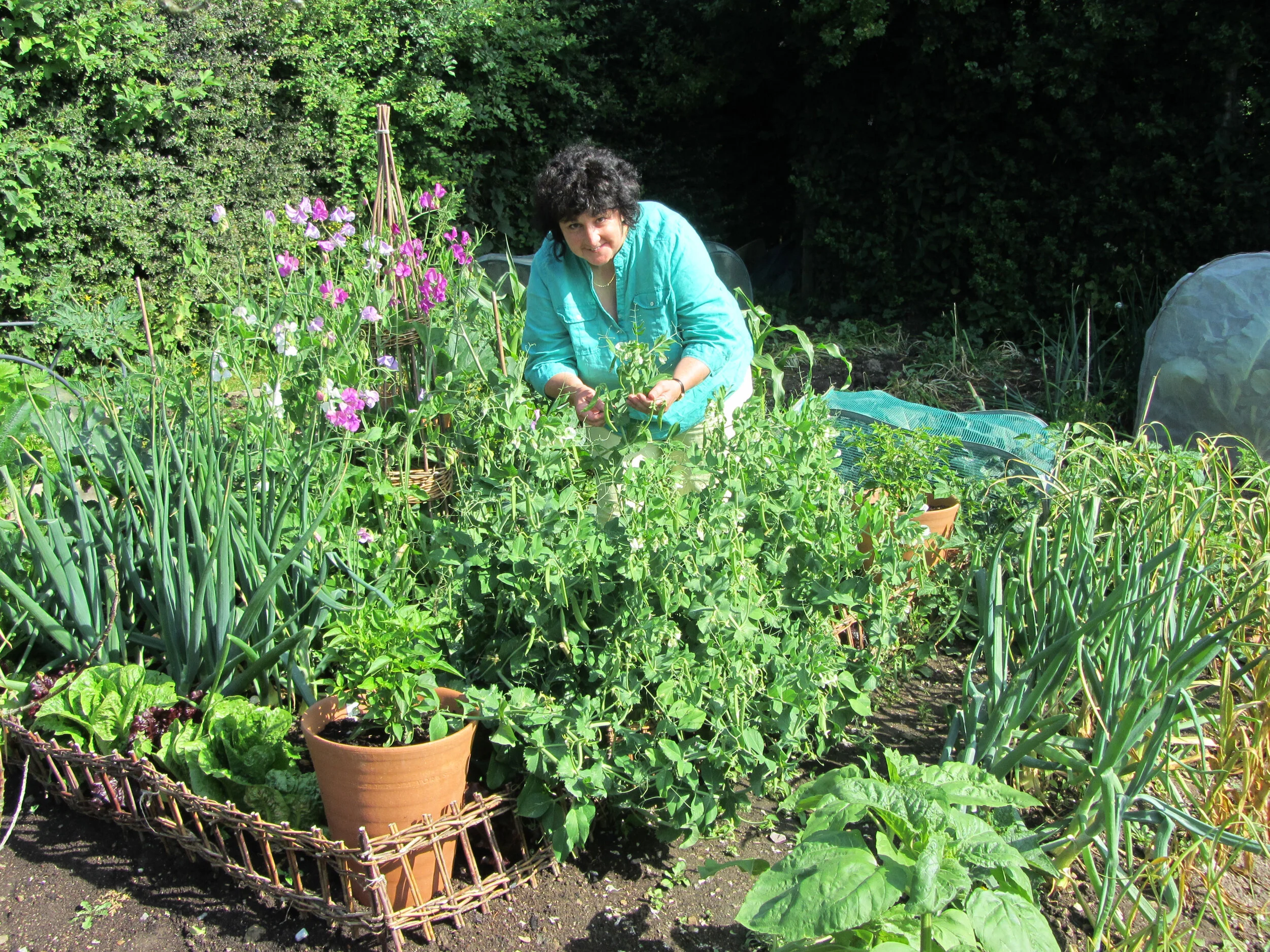 Autumn Vegetables