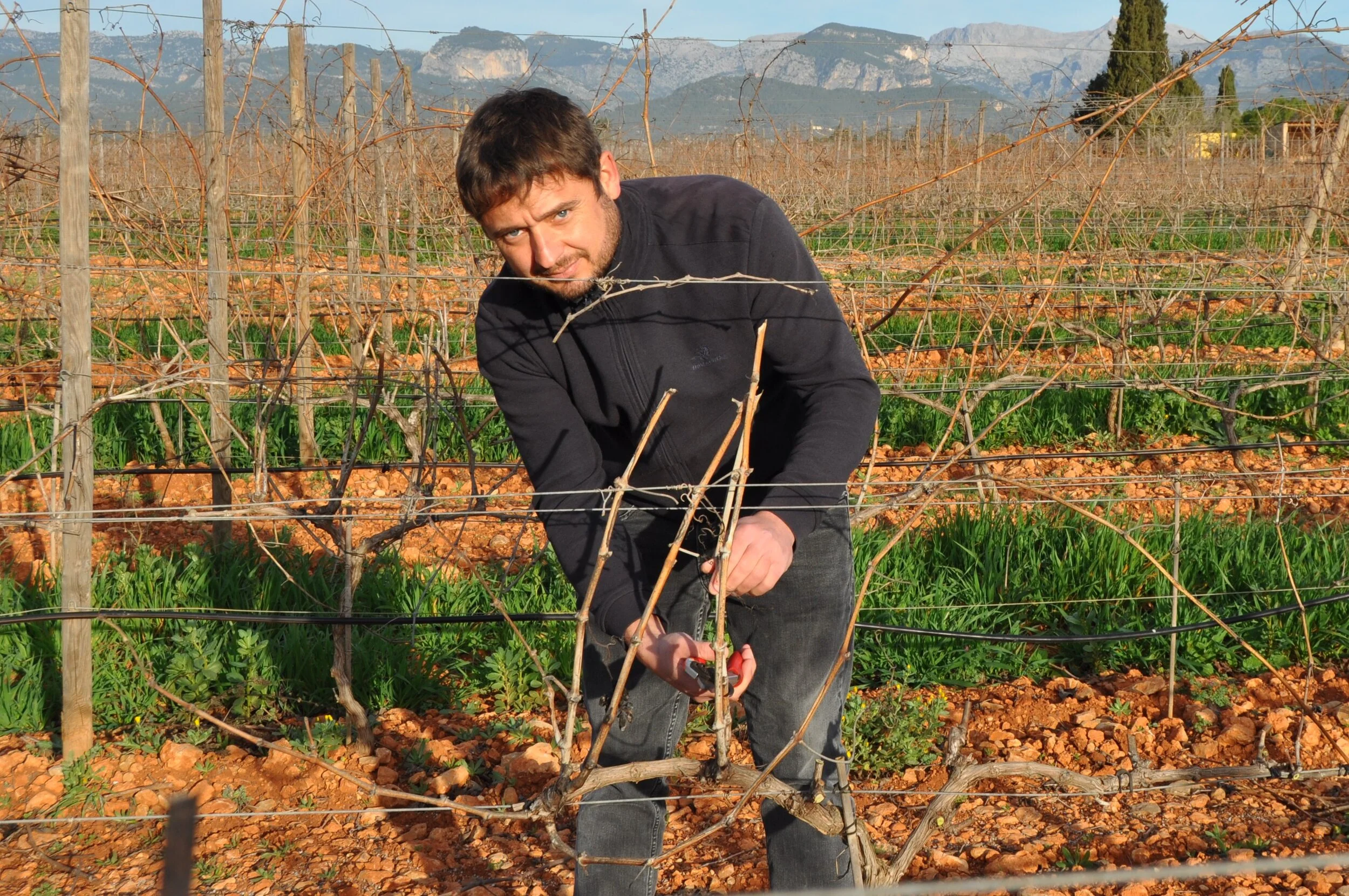 French winemaker Mattieu Pichenot