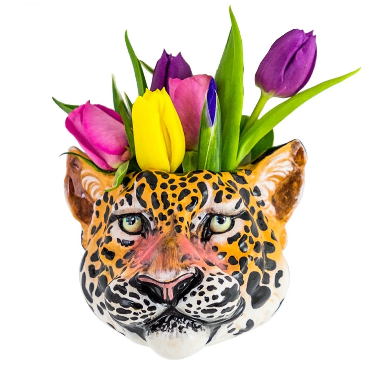 Mr Leopard Head Wall Sconce €35