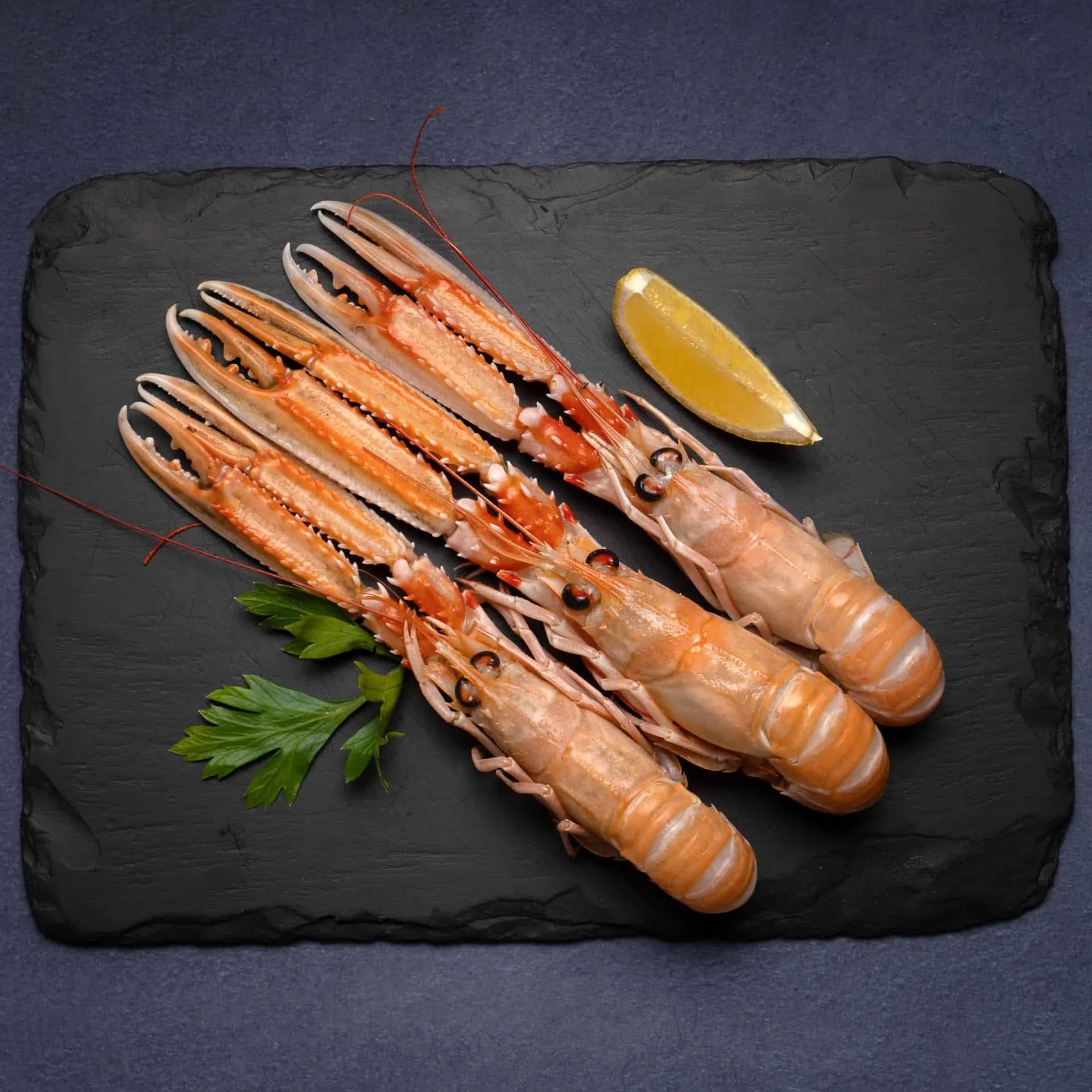 scottish Langoustines-1.jpeg
