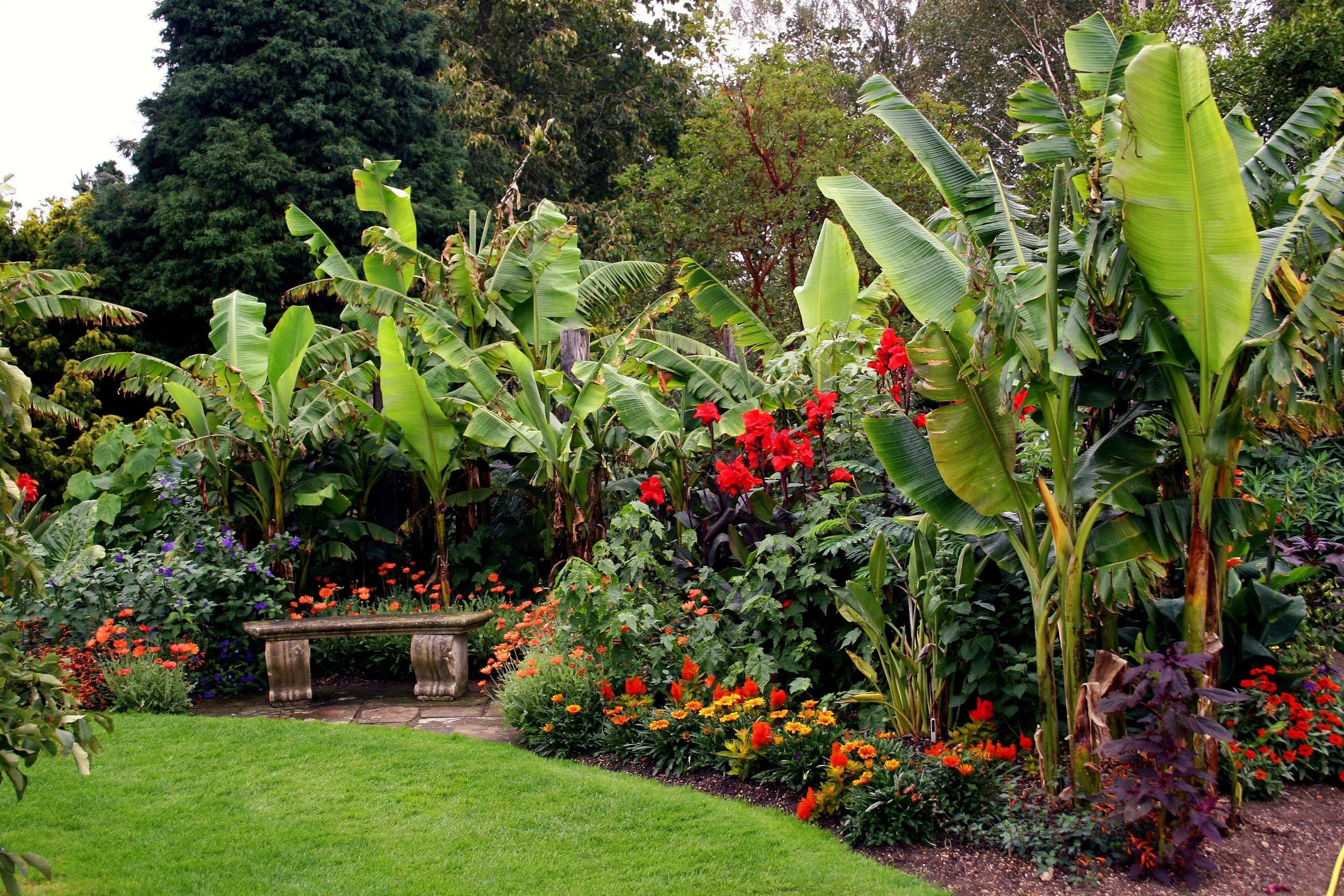 tropical-style border.