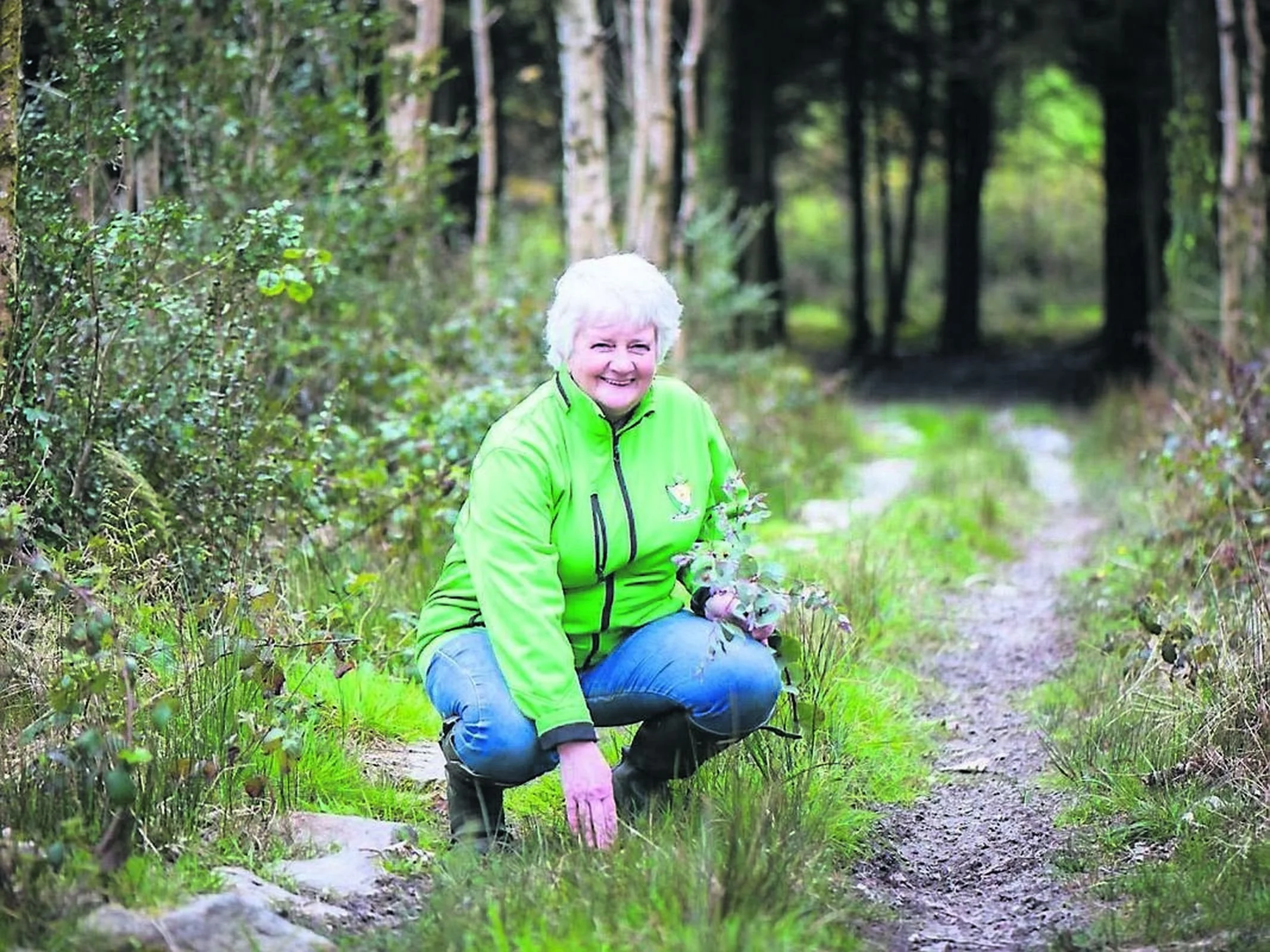 33 Avril Allshirehowe