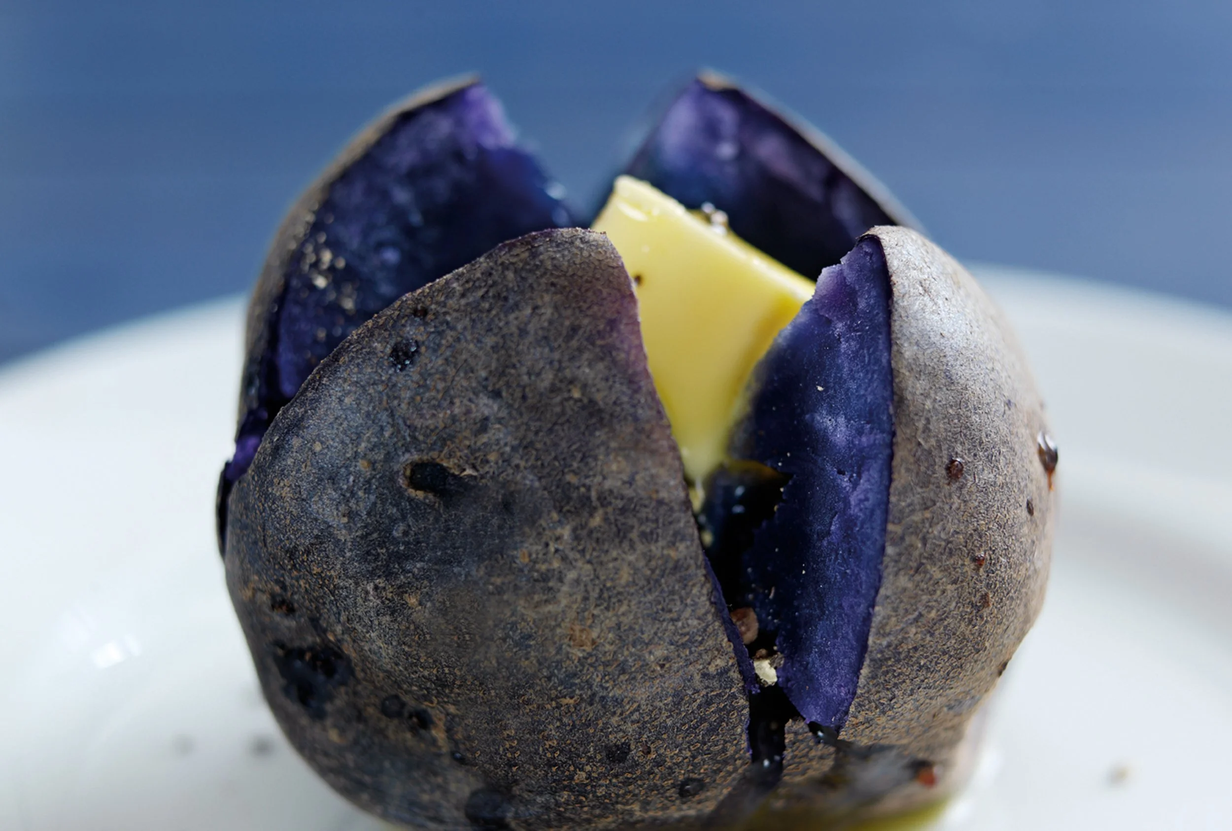 Purple Majesty