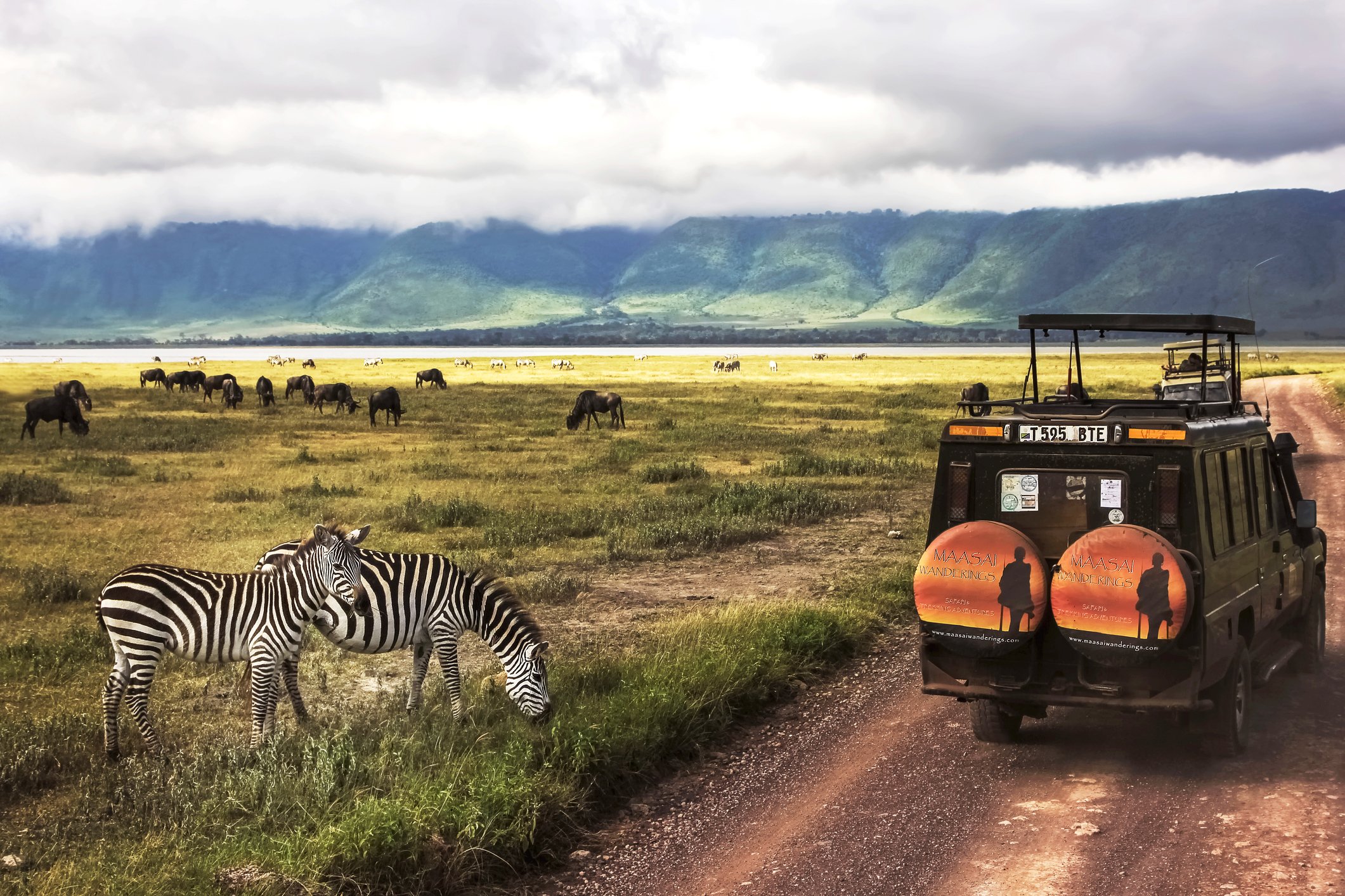 Jeep safari Ngorongoro
