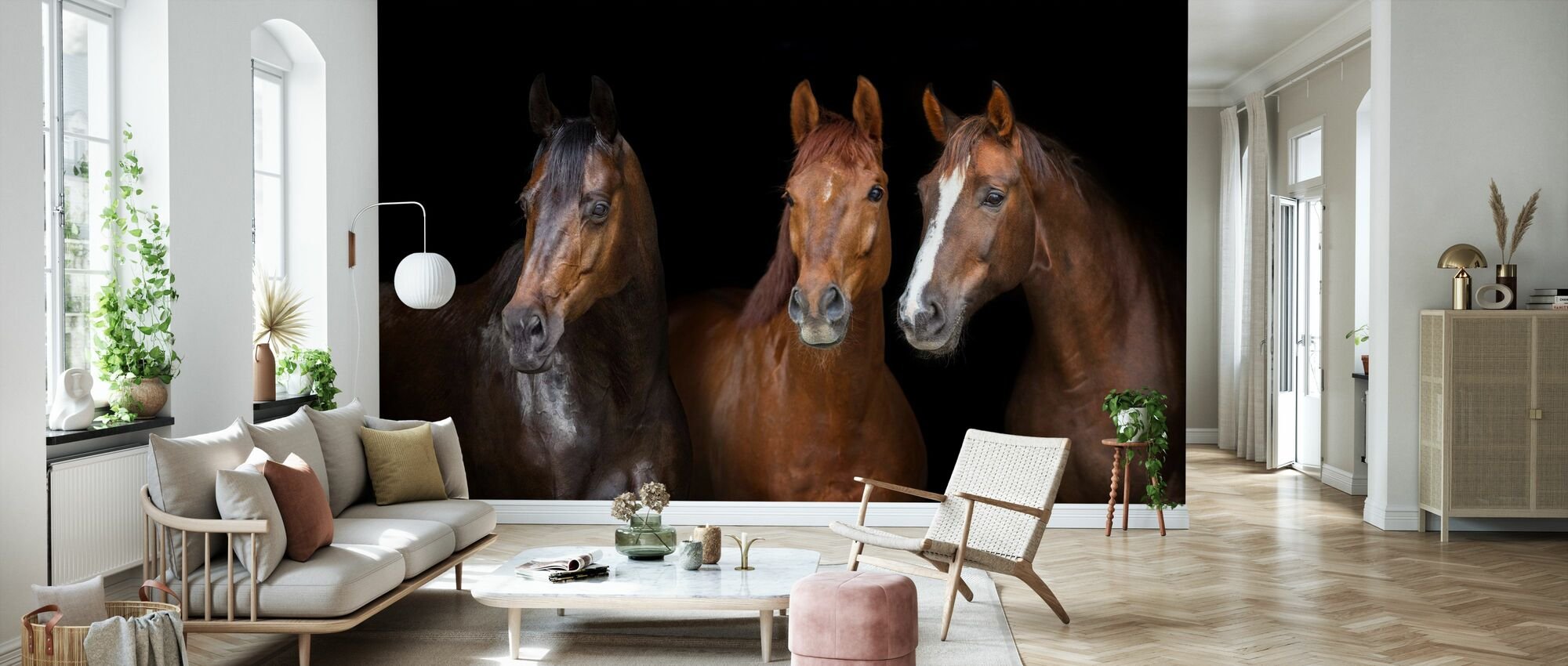 5 PHOTOWALL Horses on Black Wallpaper from €32/m2, 