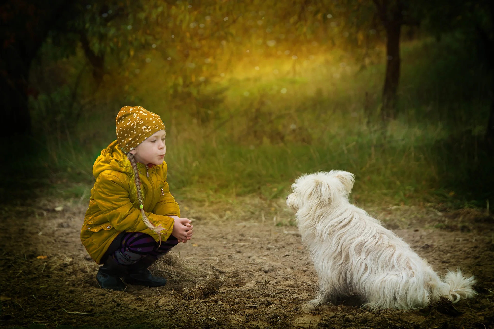 friendship-2939535_1920.jpg