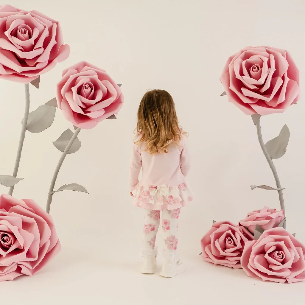 LA26304_DAISY_4.webp
