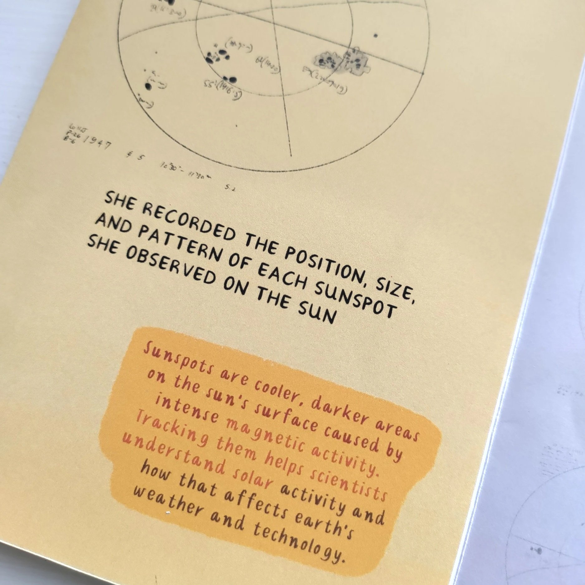 IMG_20251126_130130.jpg