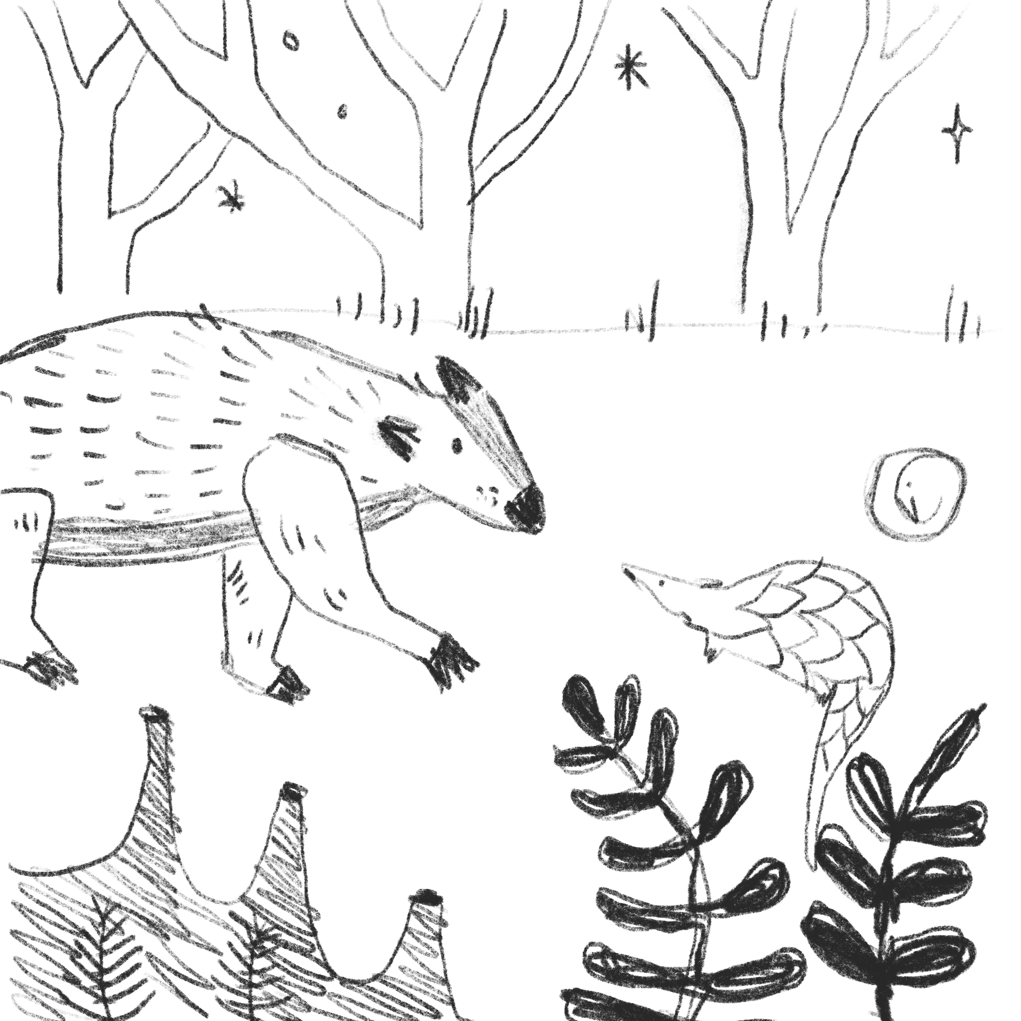 IMG_1045.png