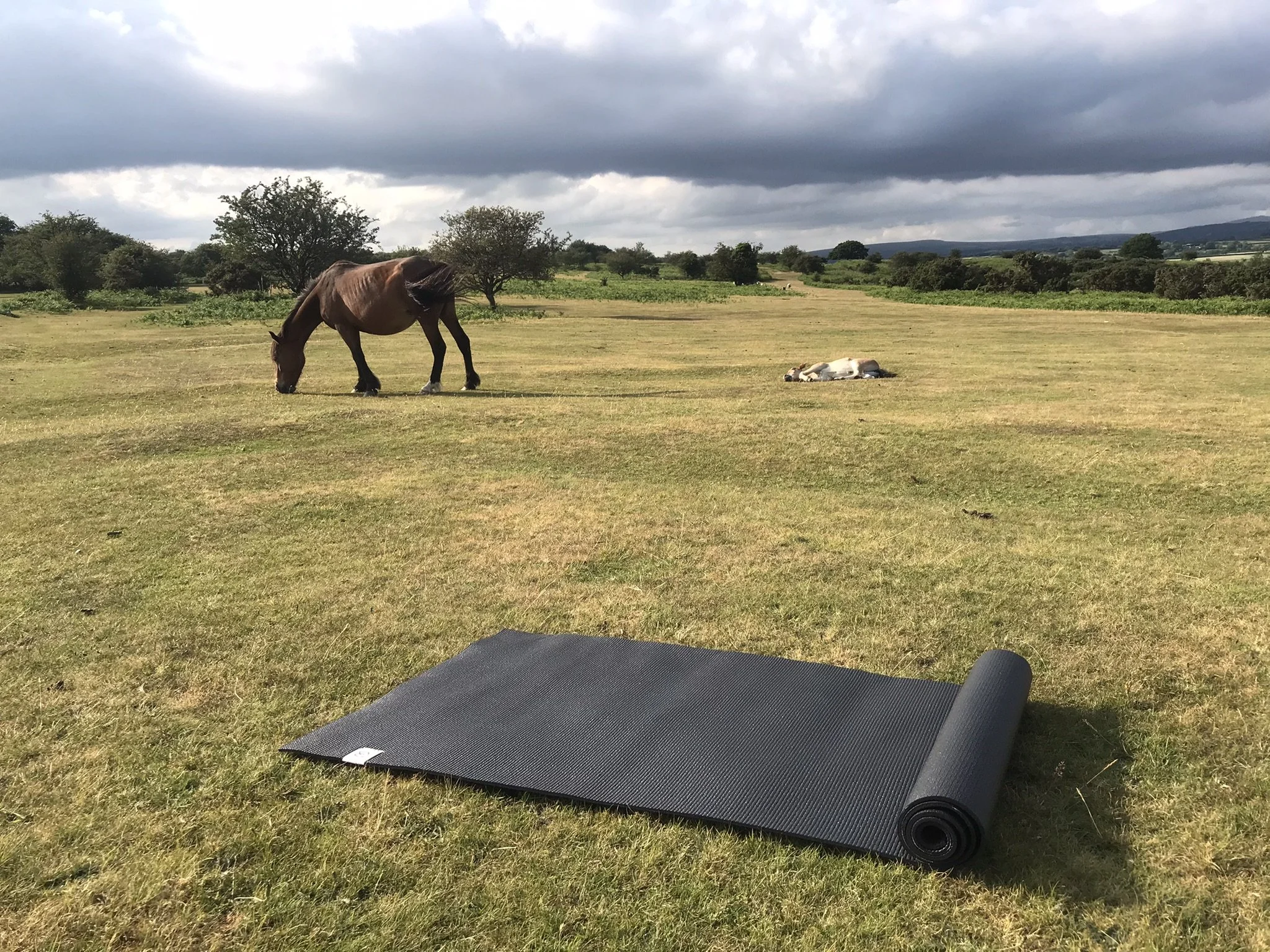 Saturday Morning Yoga on the Downs (weather permitting)  