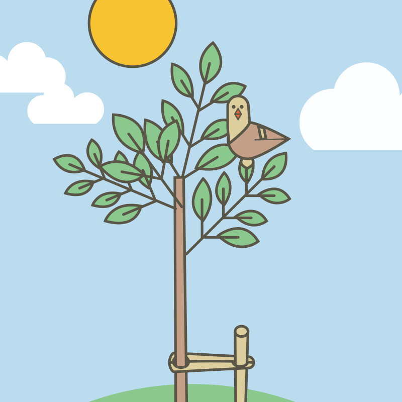 Tree Aide Illustrations