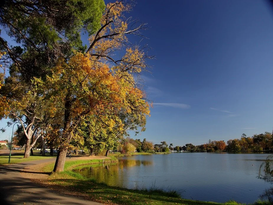 Rotary Market @ Lake Weeroona