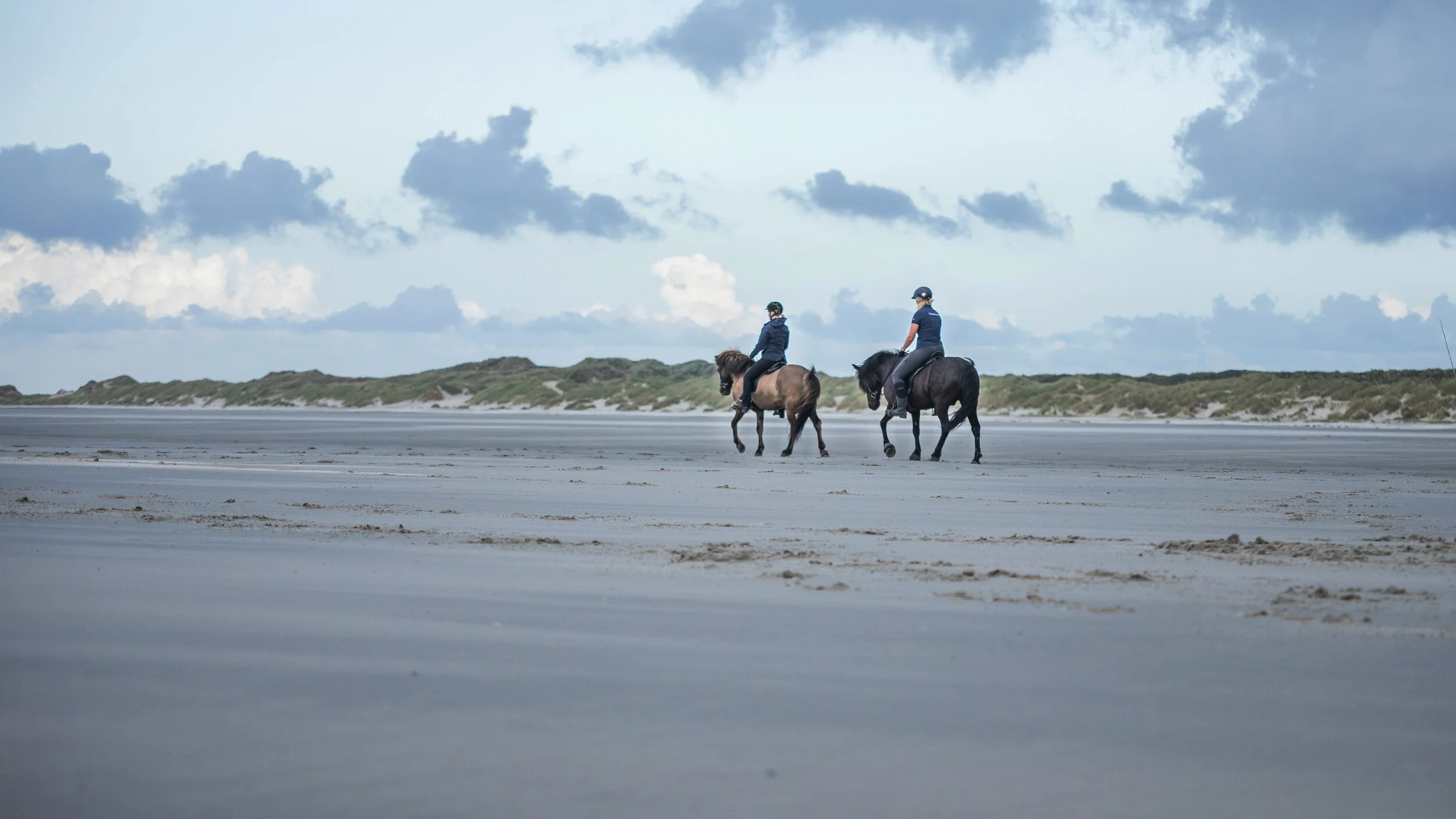 Fotosessie met je (IJslandse) paard