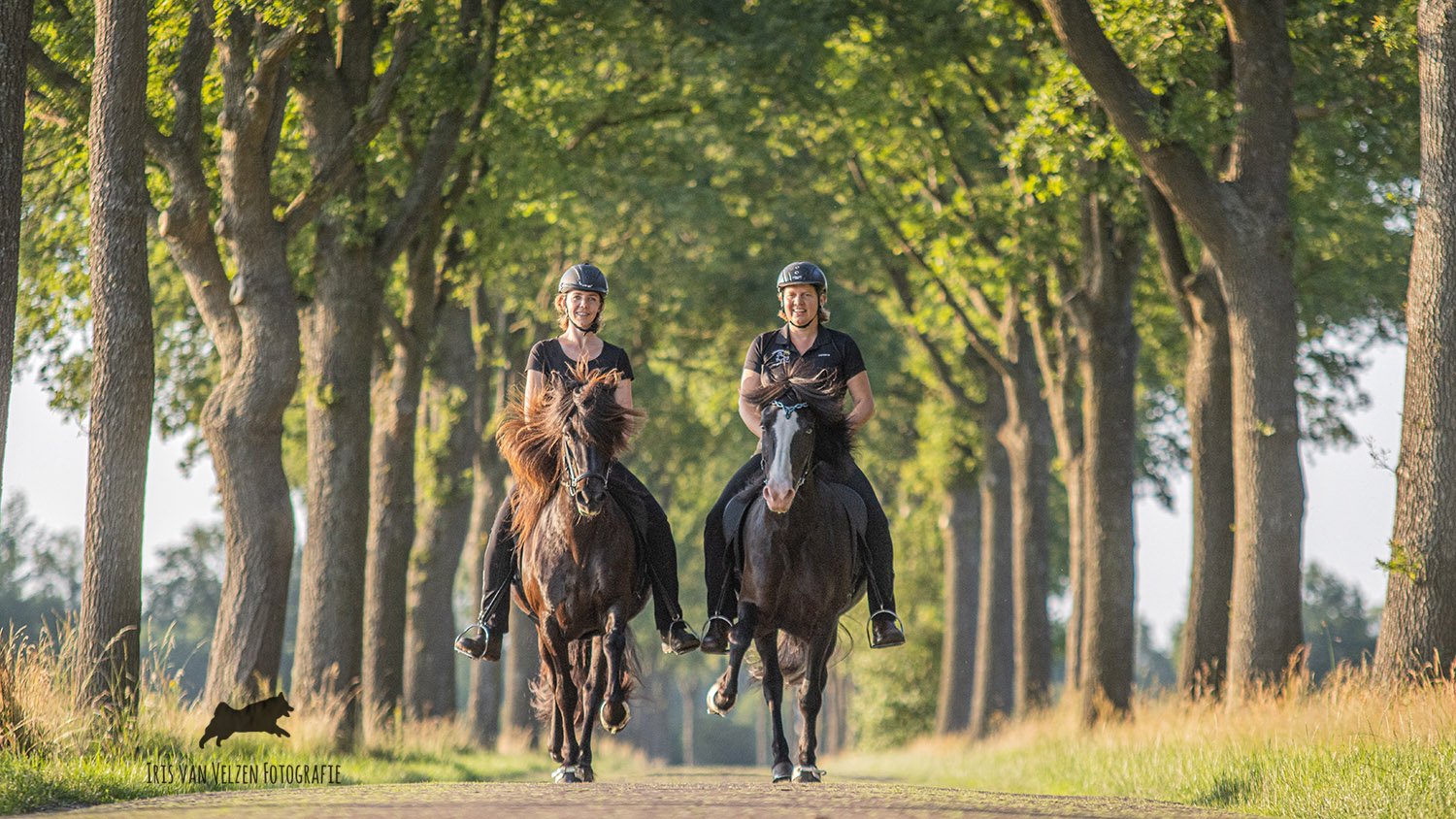 Terugblik 2021 van Dierenfotograaf Iris van Velzen Fotografie