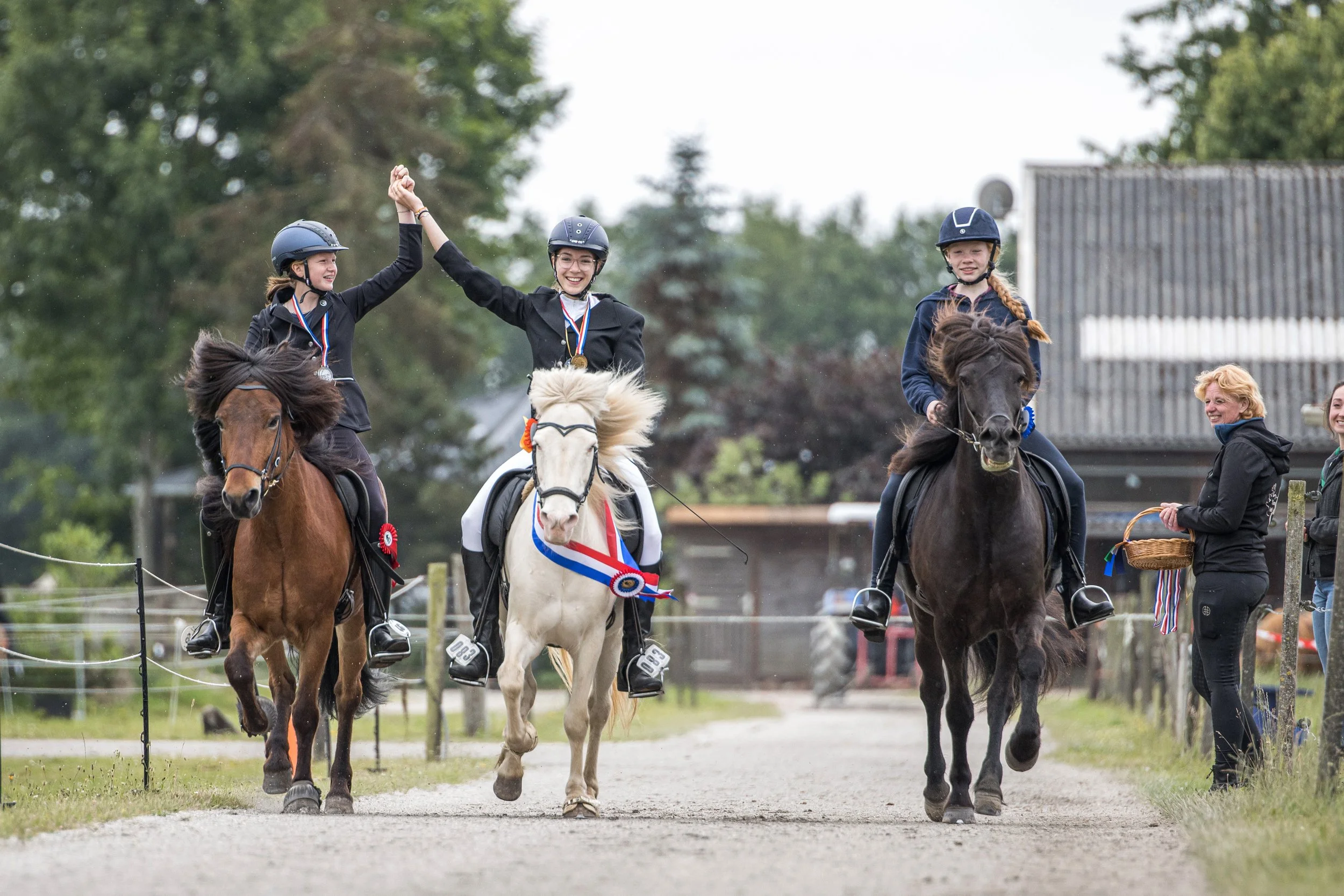 IJRN Lustrum Assen, Wedstrijd foto's, IJslandse Paarden Kalender 2023, vakantie - december 2022