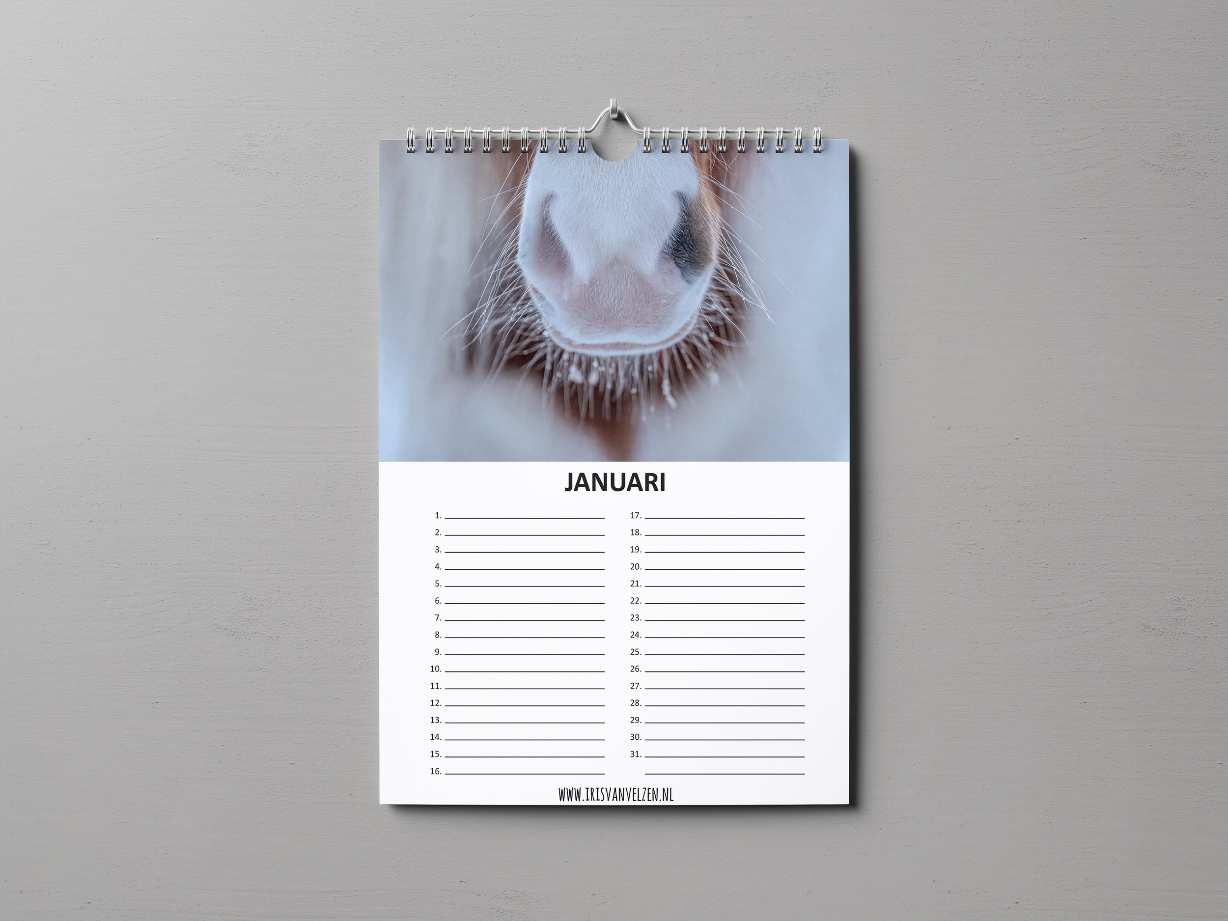 VerjaardagskalenderIJPjanuari_Mockup_A4_1 kopie.jpg