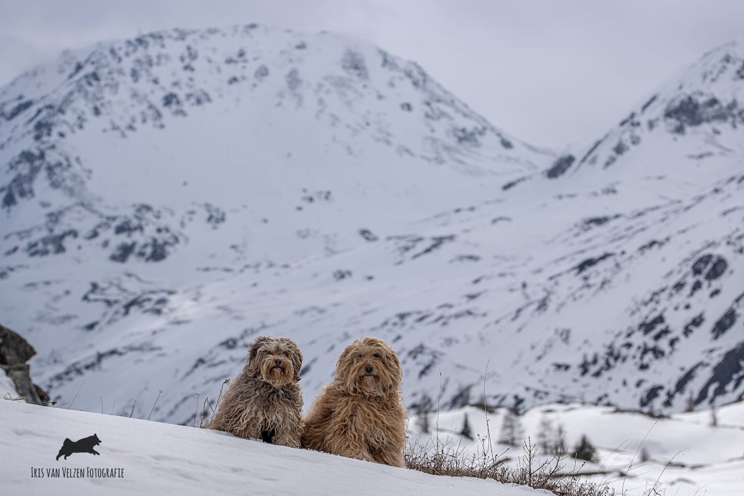 Abroad - Simplon, Zwitserland