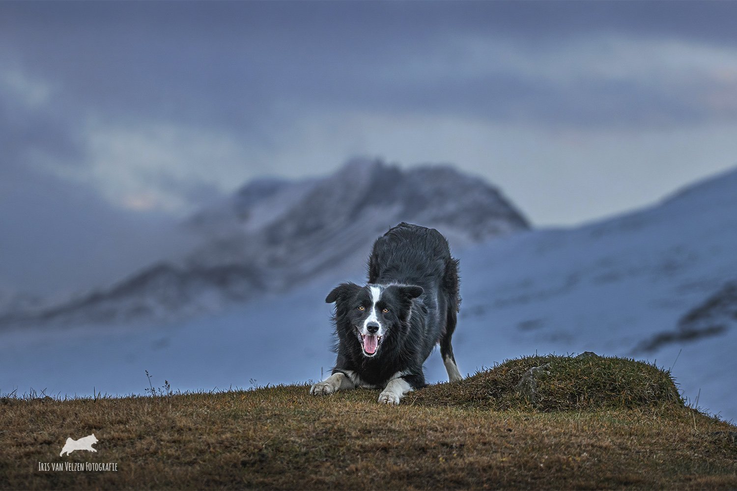 Abroad - Akureyri, IJsland