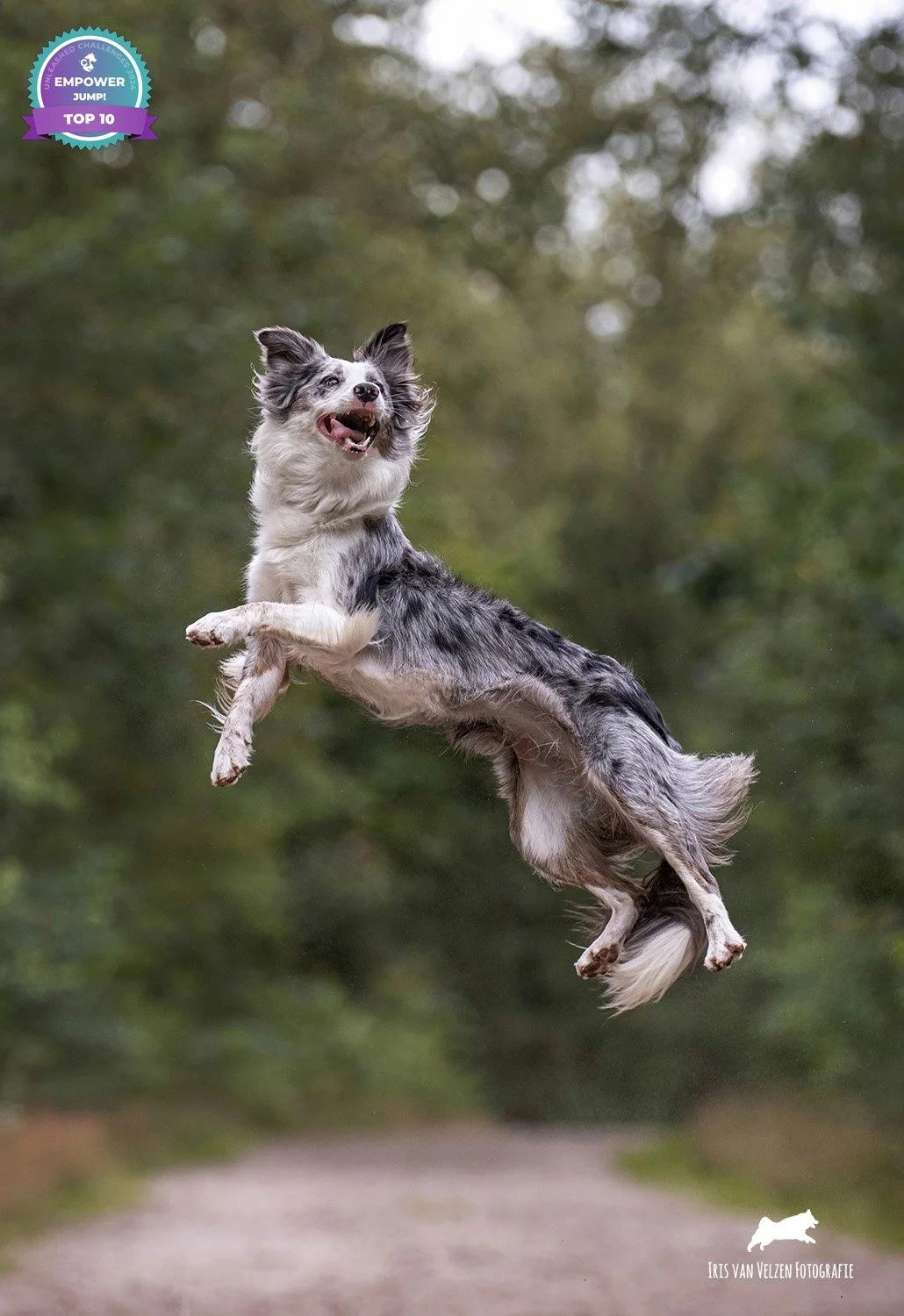 Jump_1570-logoTop10.jpg