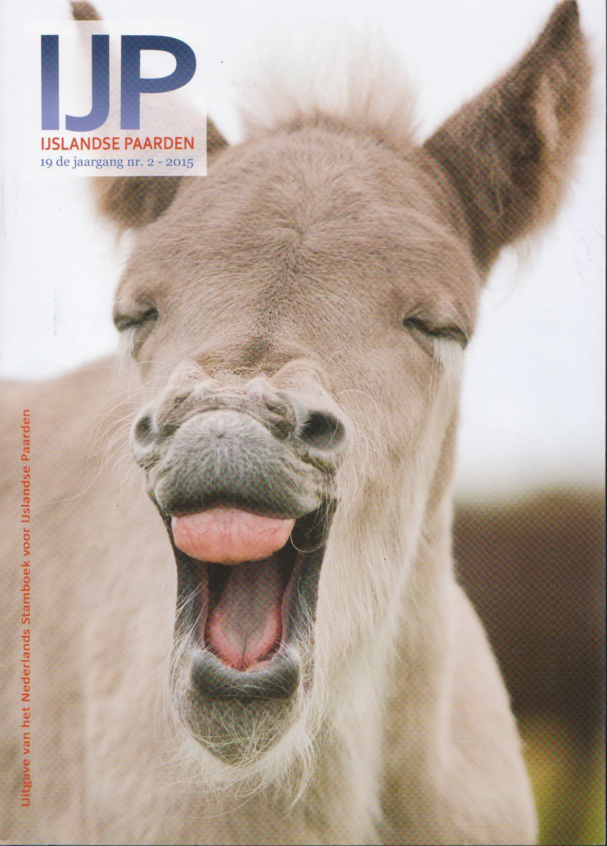 Cover IJslandse Paarden Magazine - nr 2 2015 - zilverappel veulen Ylur gaapt 2014