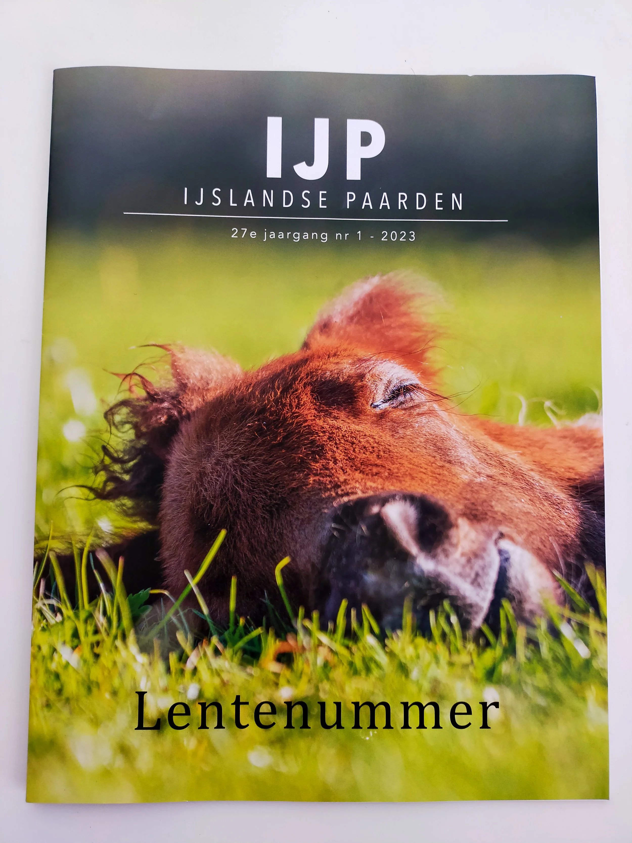 IMG20230407151628coverijpmagazineveulen.jpg