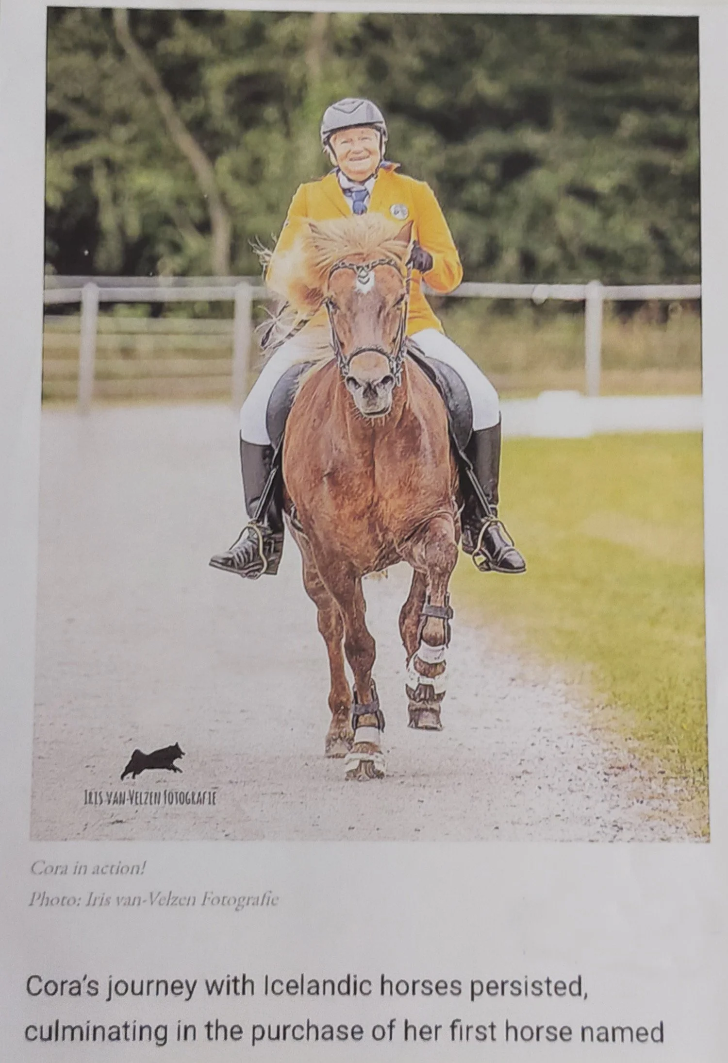 Artikel Cora Wijmans Ishestnews Sweden aug 2023 Foto Cora NK